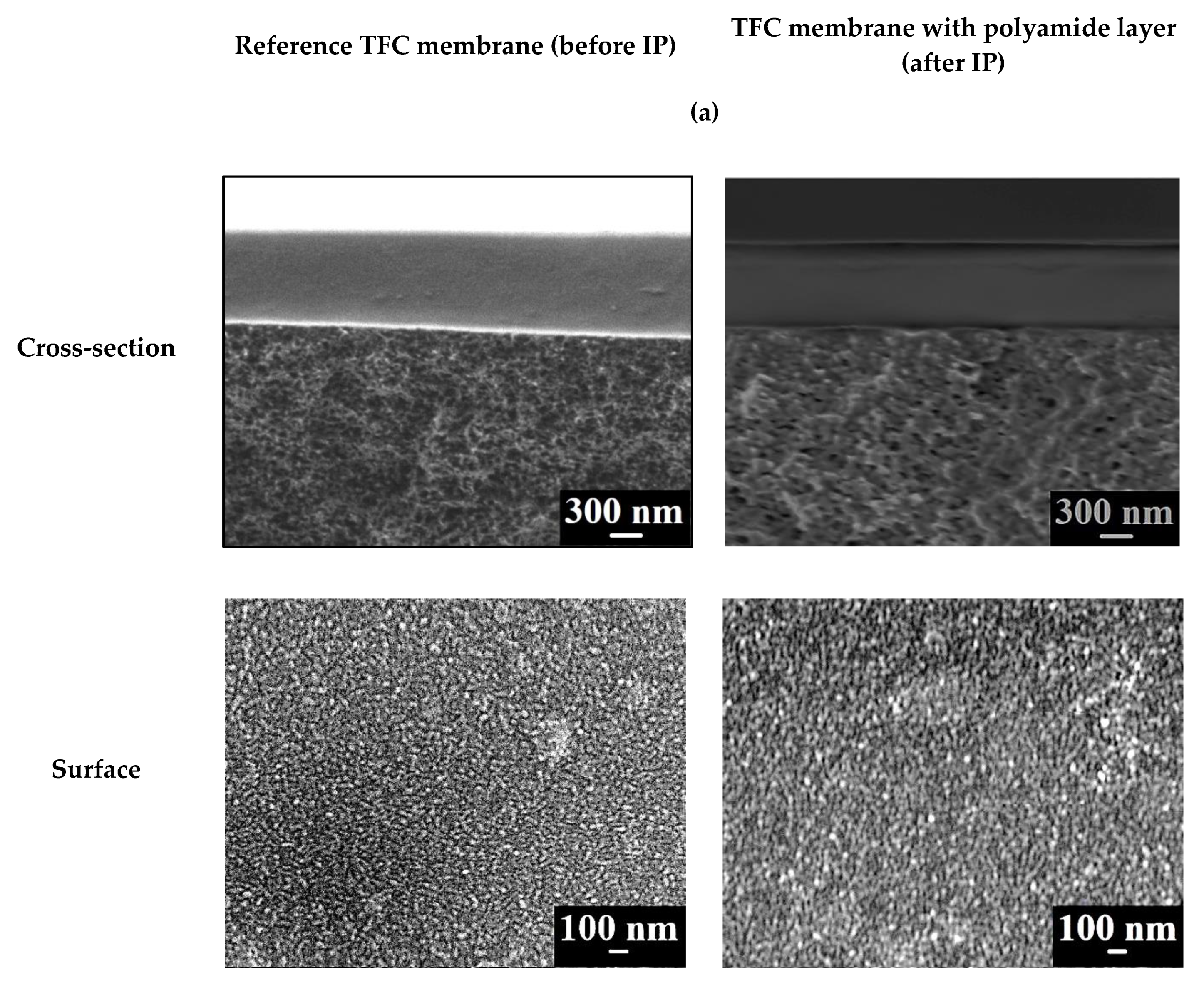 Membranes 10 00153 g008a Membranes 10 00153 g008a