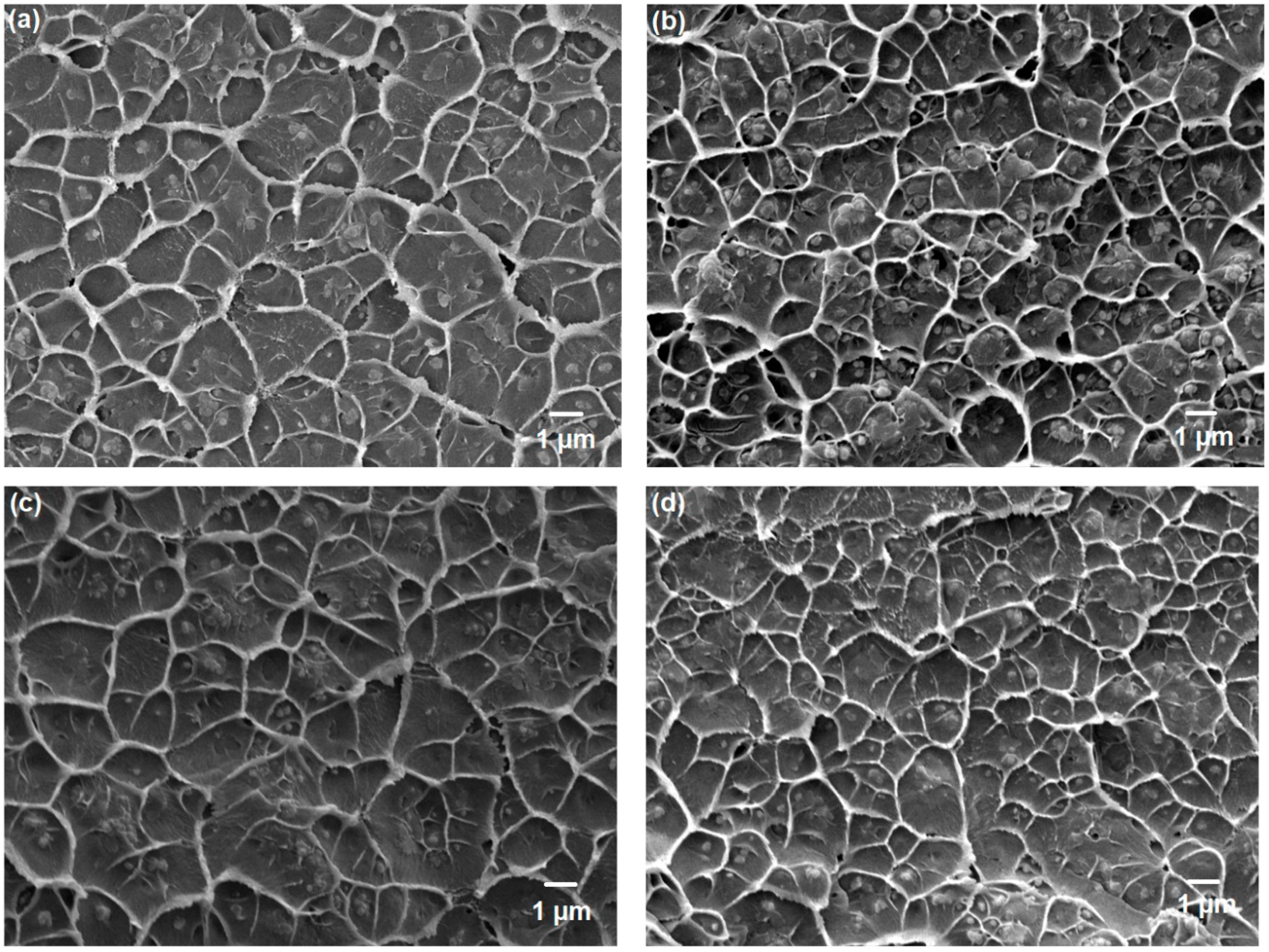 Membranes 10 00154 g007a