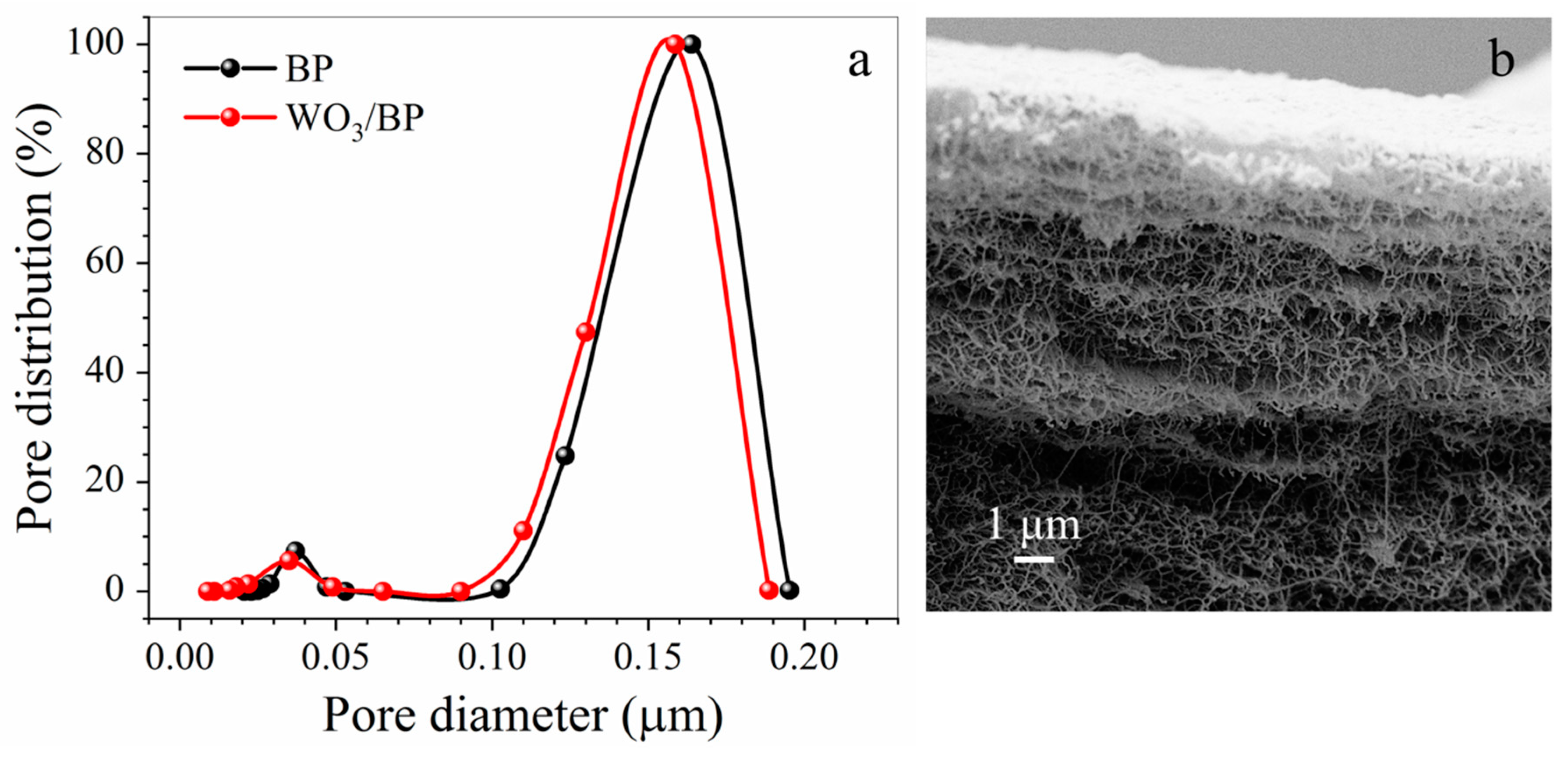 Membranes 10 00157 g004 Membranes 10 00157 g004