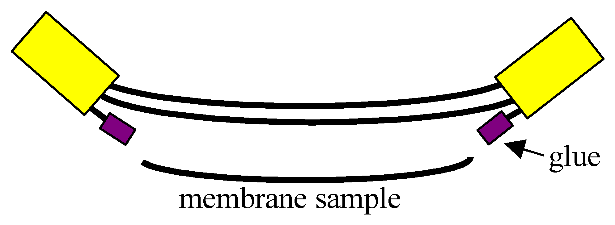 Membranes 10 00158 g005