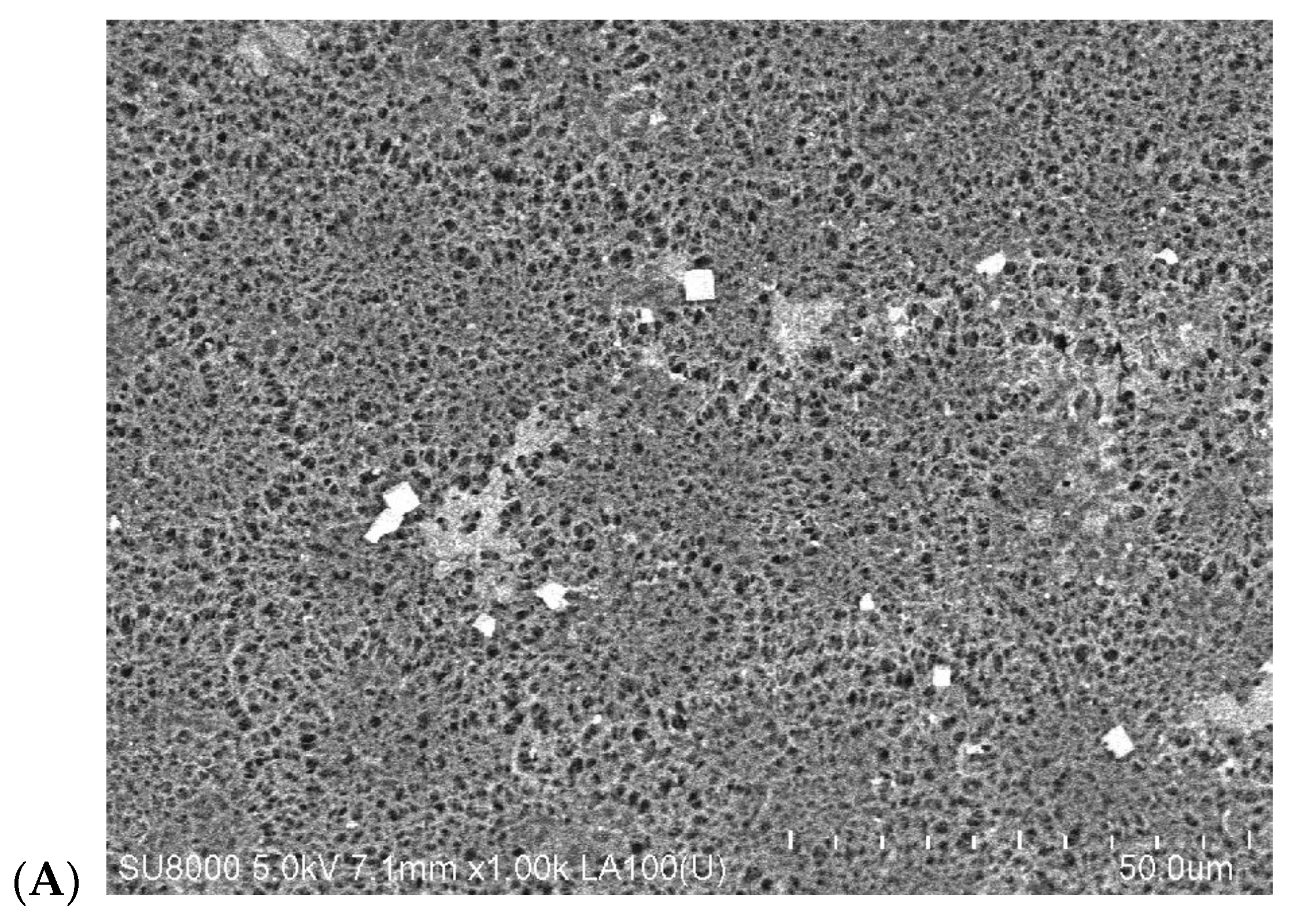 Membranes 10 00158 g017a