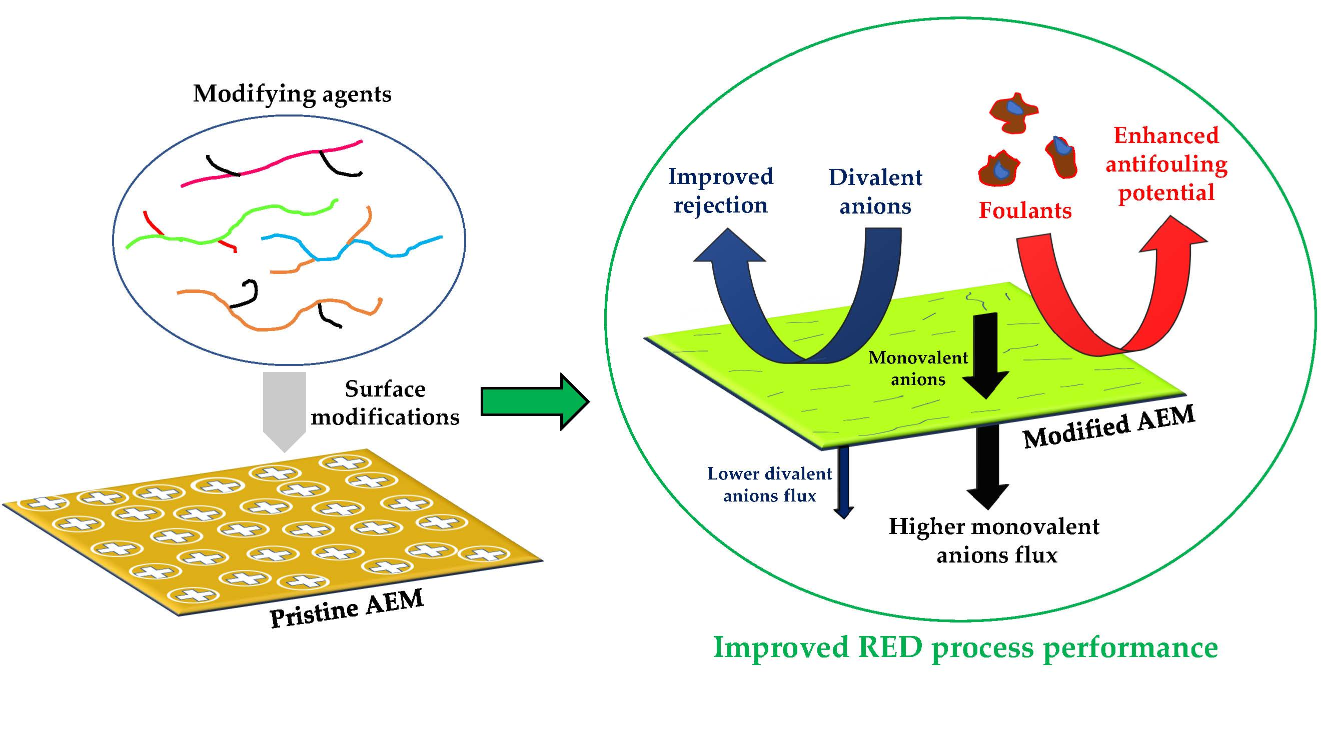 Membranes Free FullText Surface Modifications of Anion Exchange