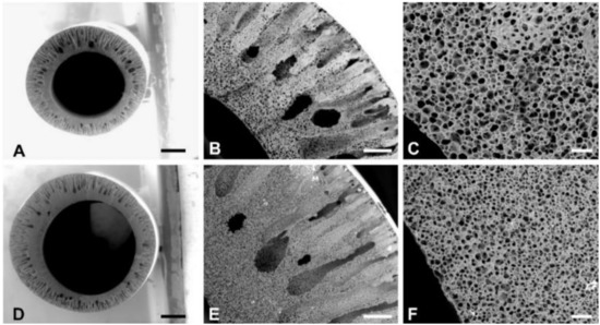 Membranes | Special Issue : Membrane Systems for Tissue Engineering 2020