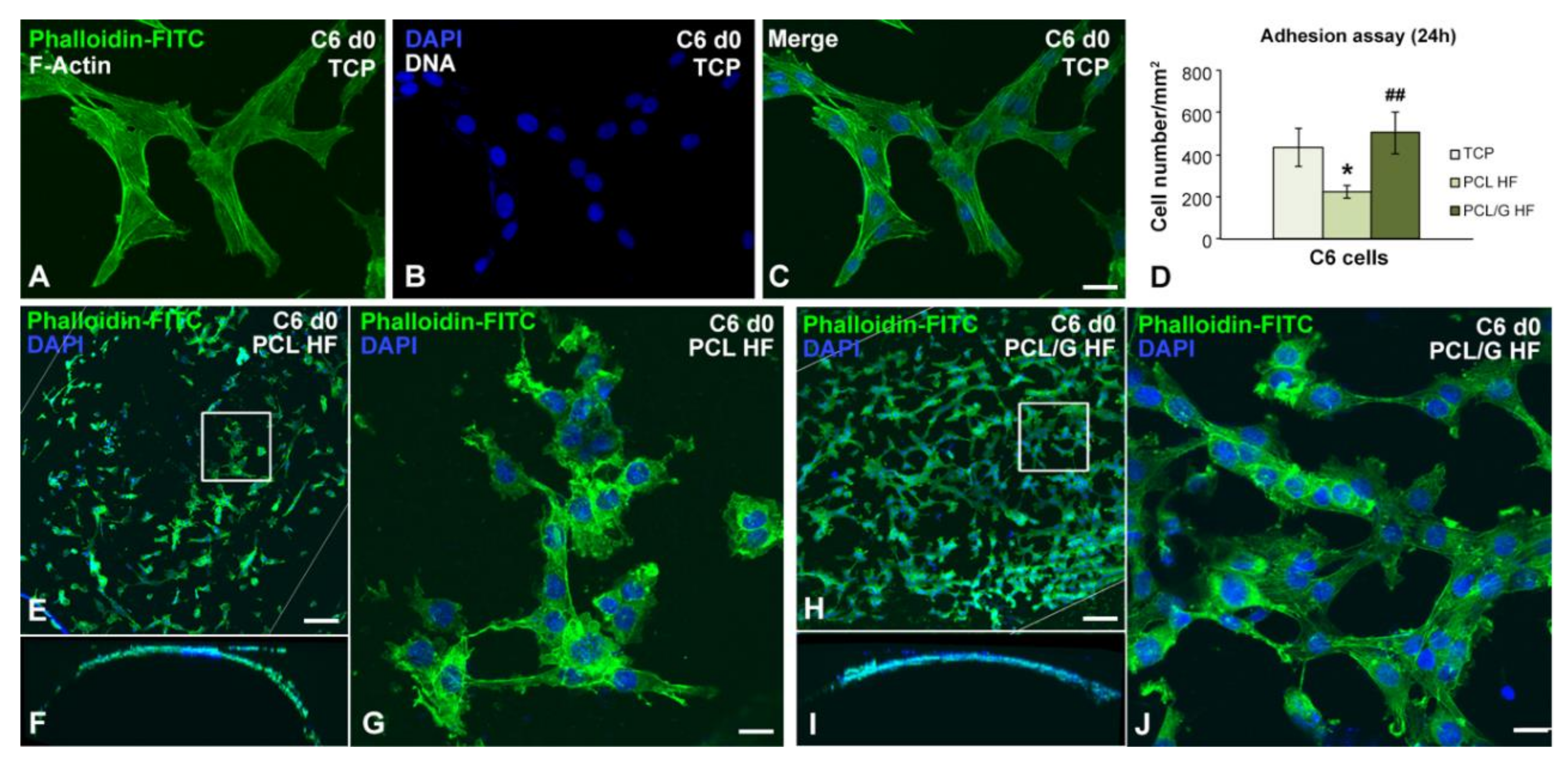 Membranes 10 00161 g005 Membranes 10 00161 g005