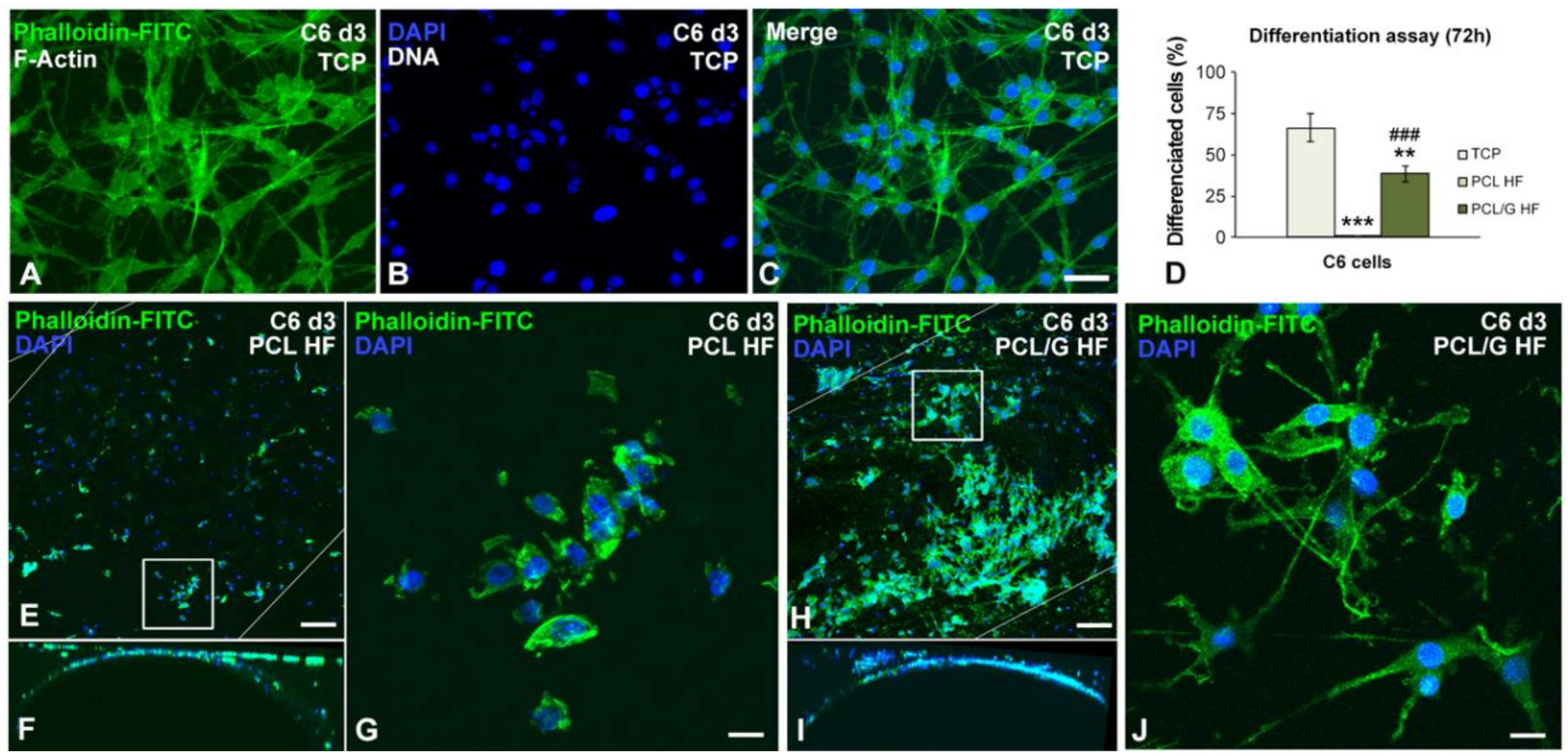 Membranes 10 00161 g006 Membranes 10 00161 g006
