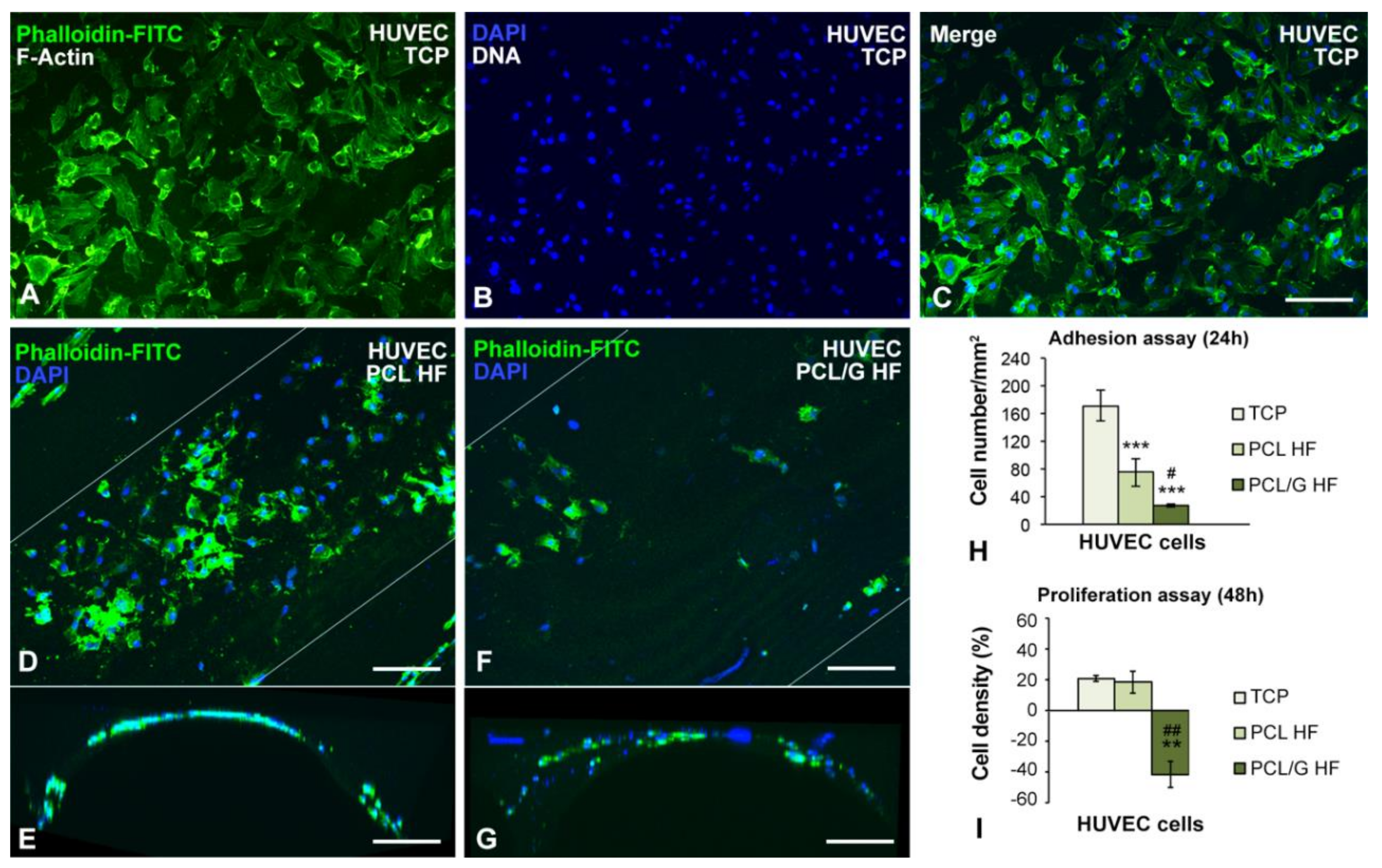 Membranes 10 00161 g007 Membranes 10 00161 g007