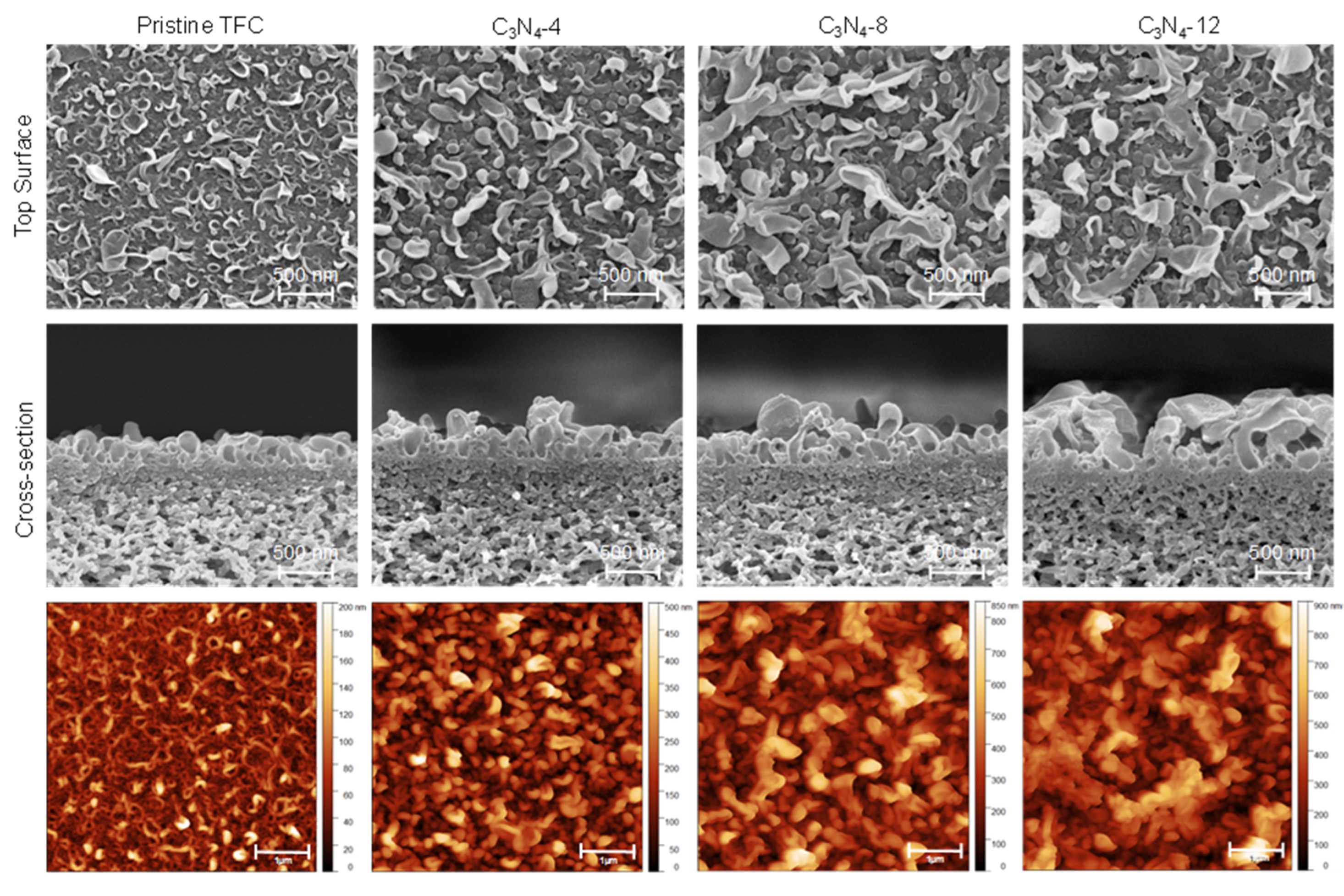 Membranes 10 00163 g002 Membranes 10 00163 g002