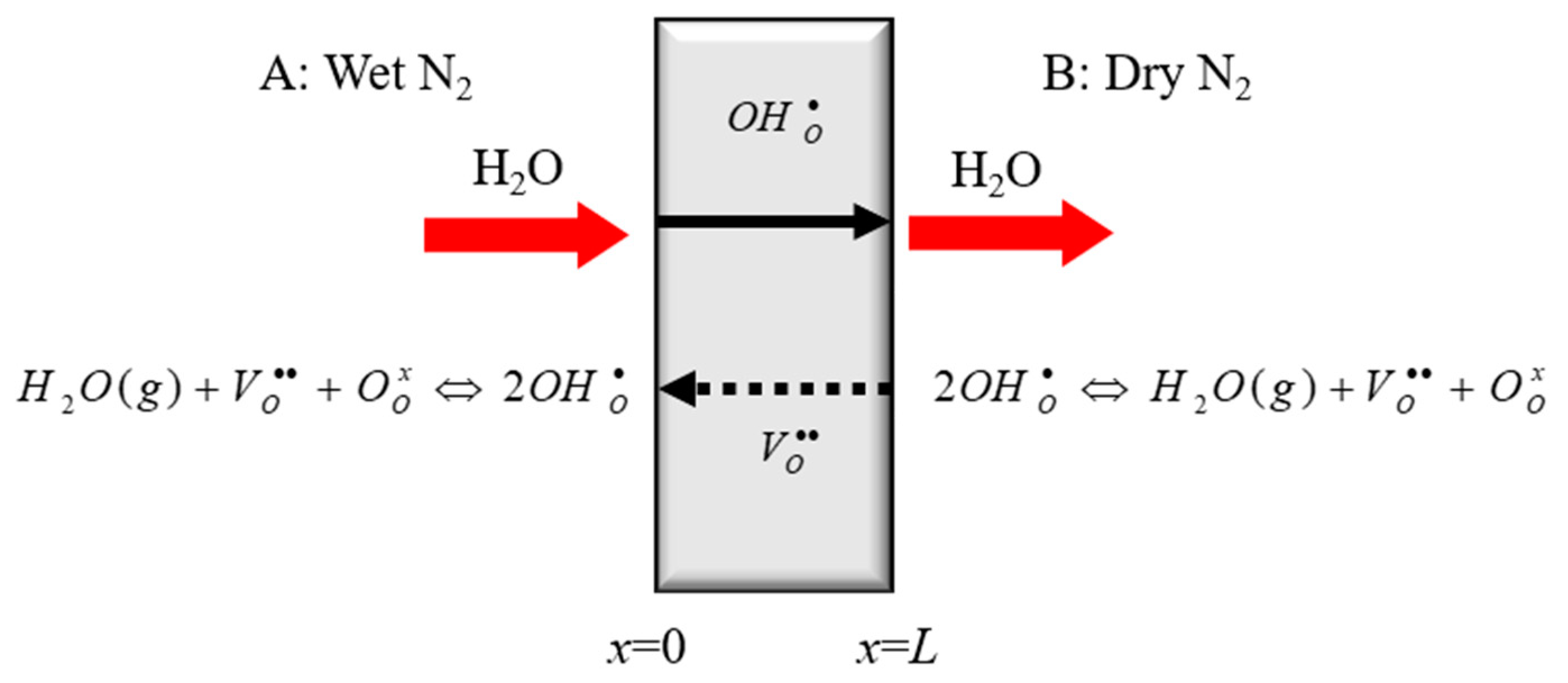 Membranes 10 00164 g001