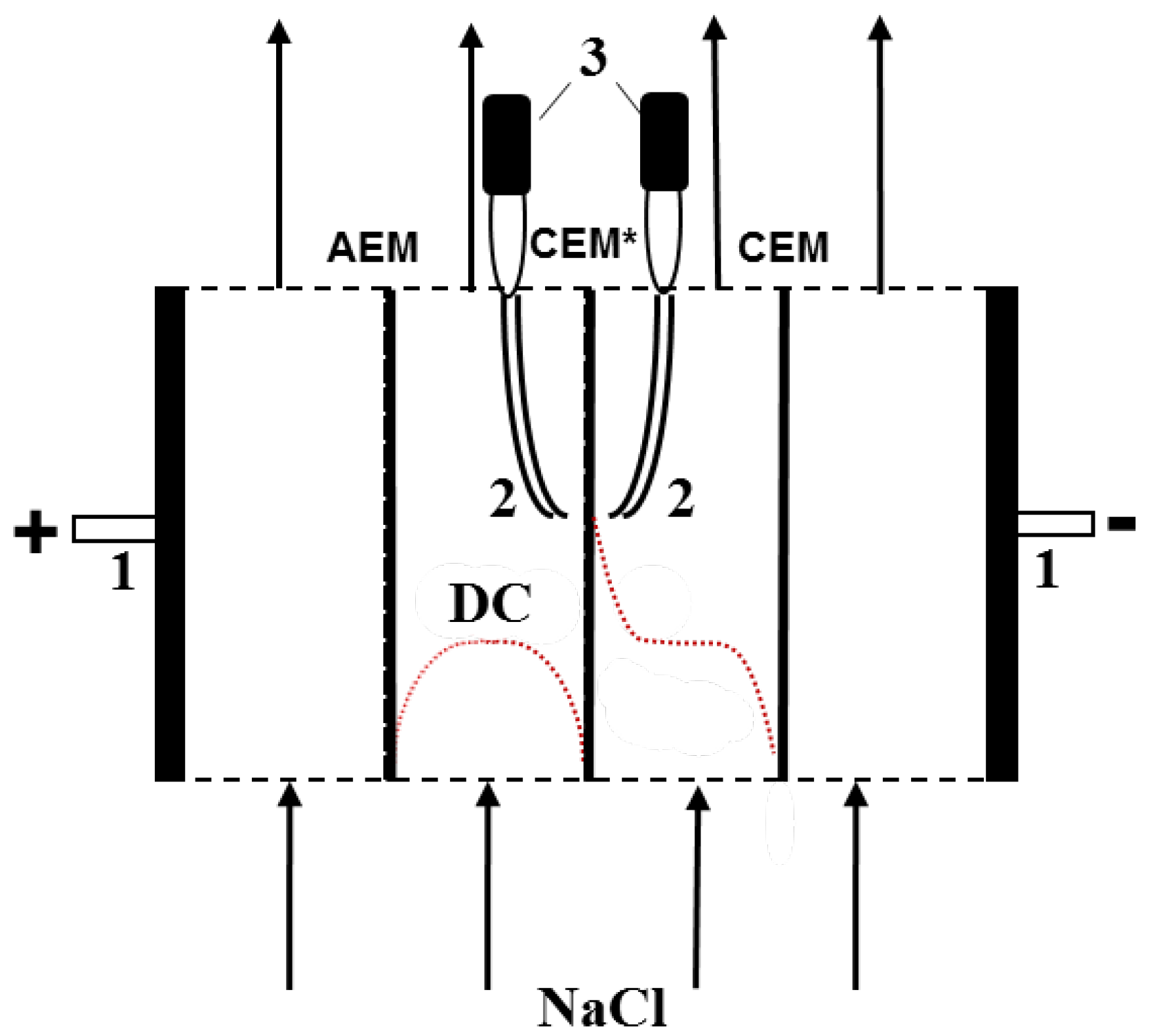 Membranes 10 00165 g001