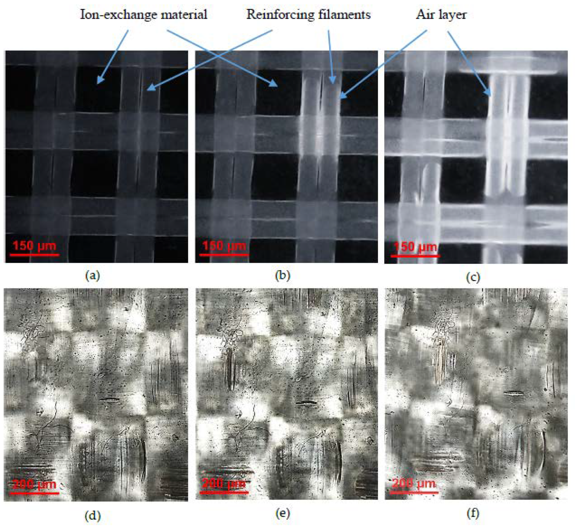 Membranes 10 00165 g003