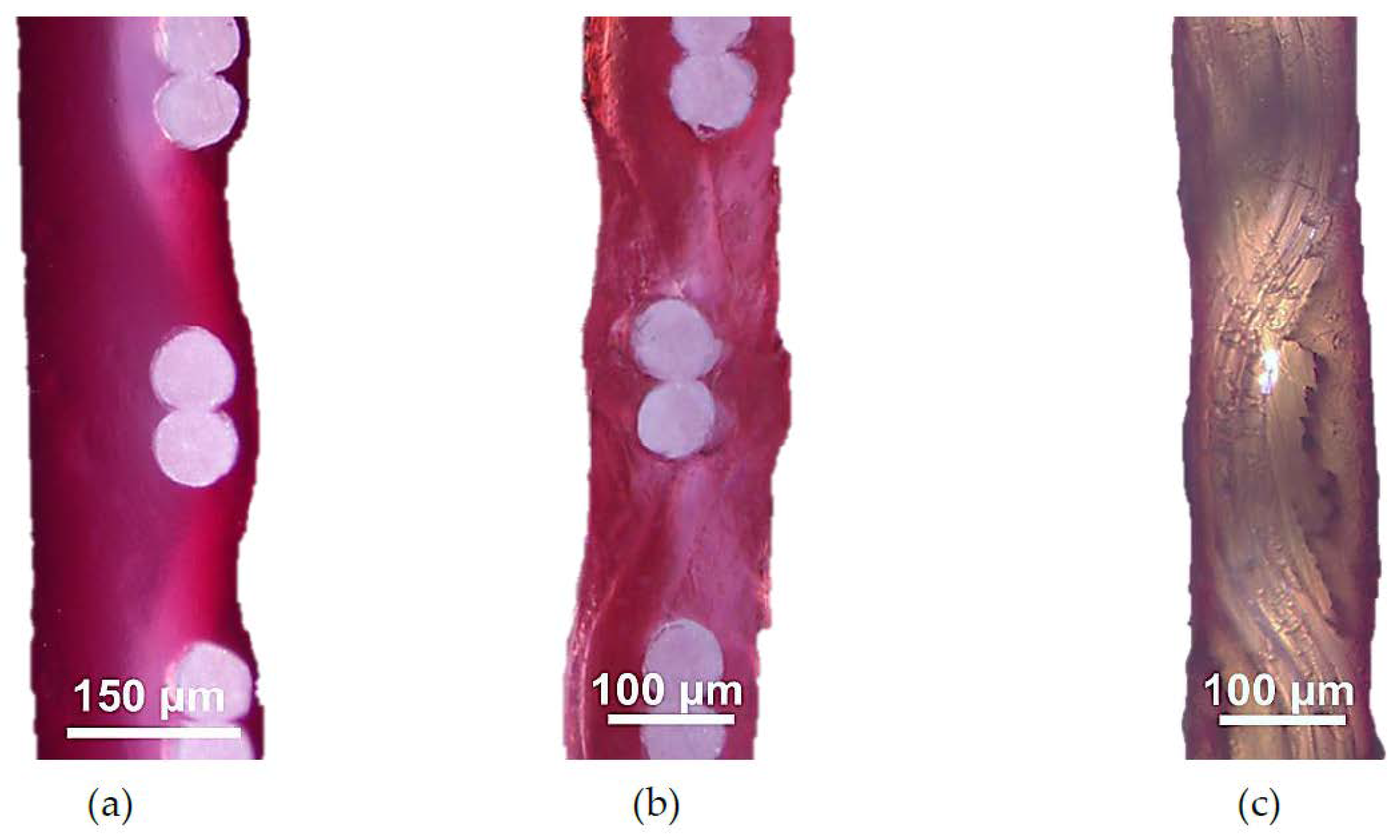 Membranes 10 00165 g008