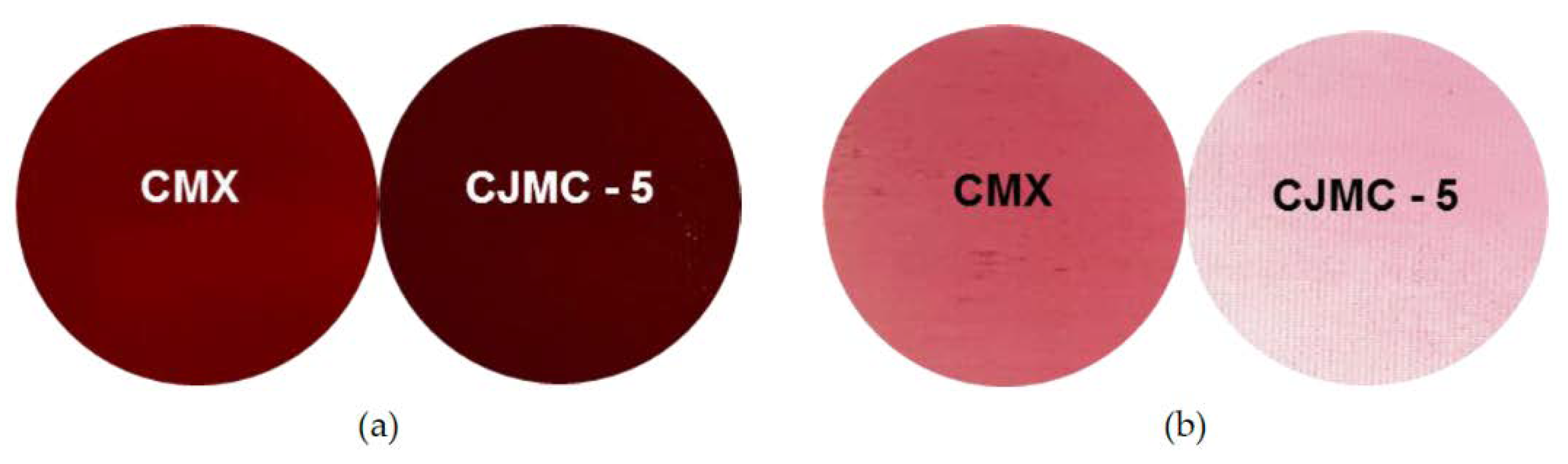 Membranes 10 00165 g009
