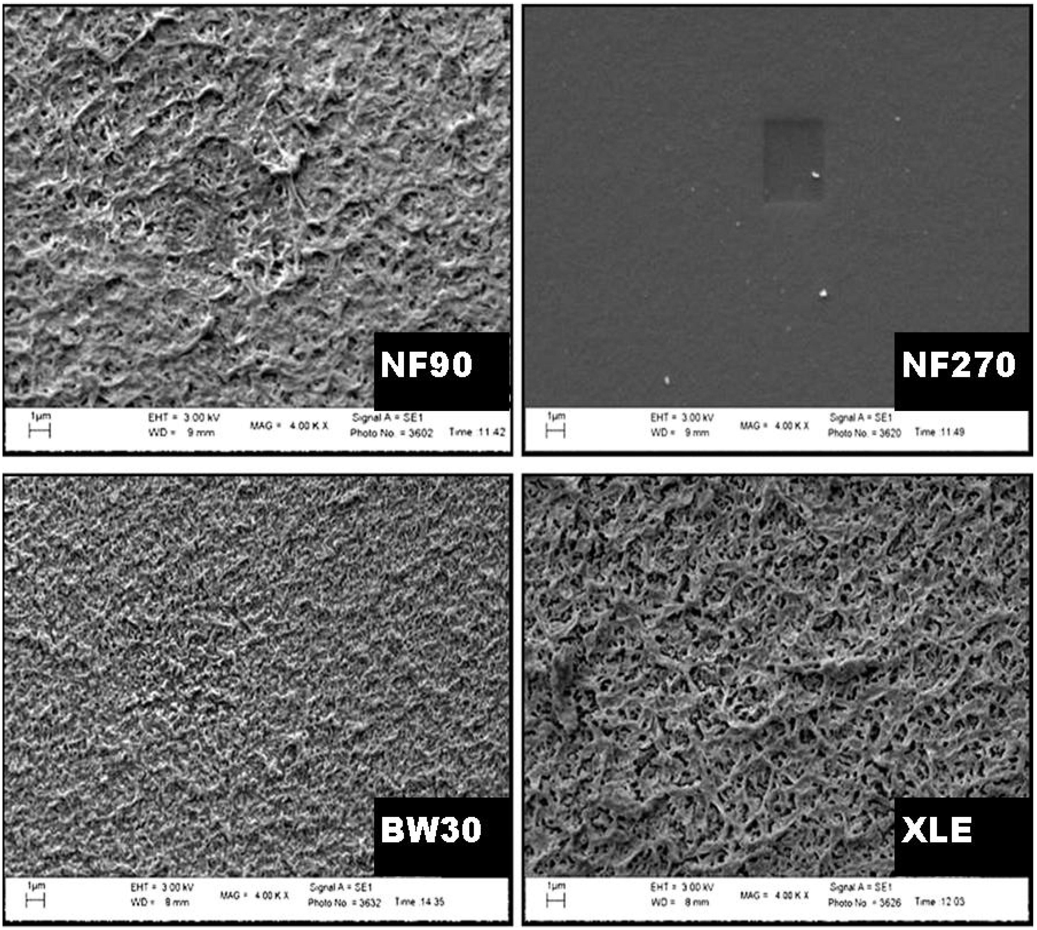 Membranes 10 00166 g008