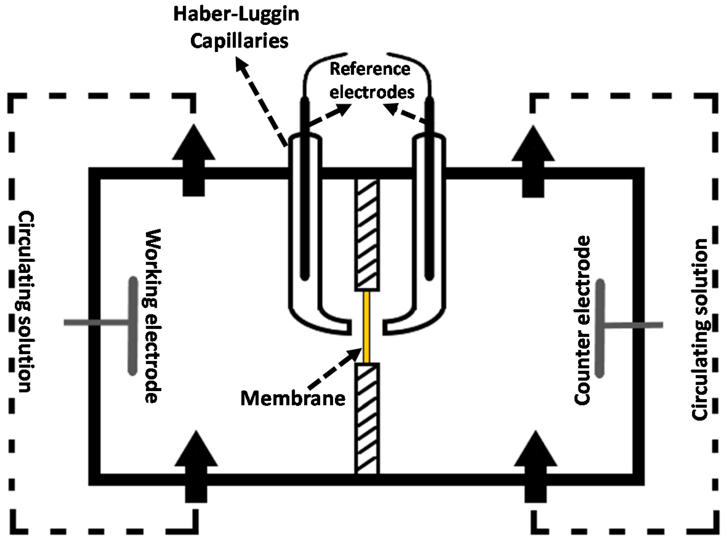 Membranes 10 00168 g005