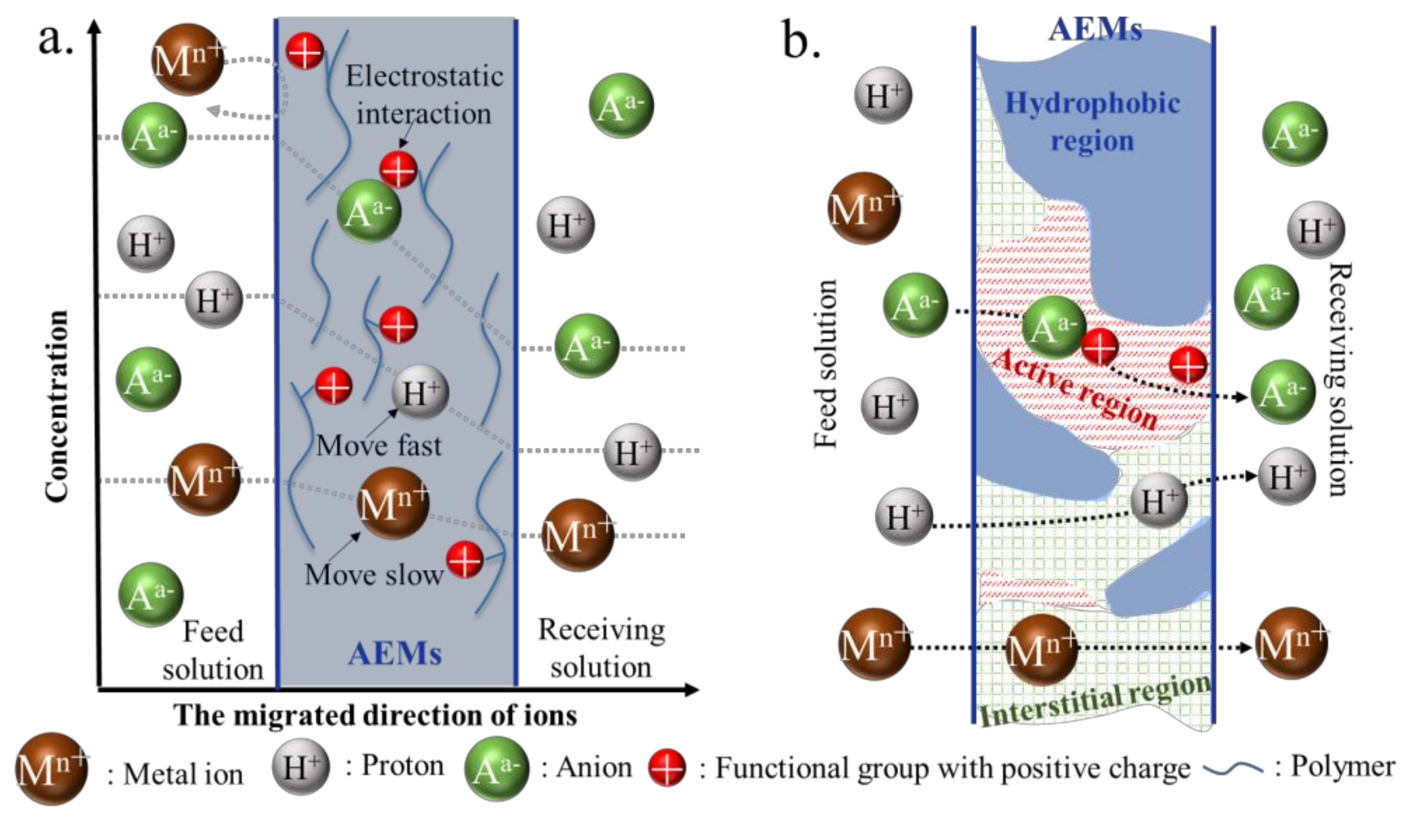 Membranes 10 00169 g003 Membranes 10 00169 g003