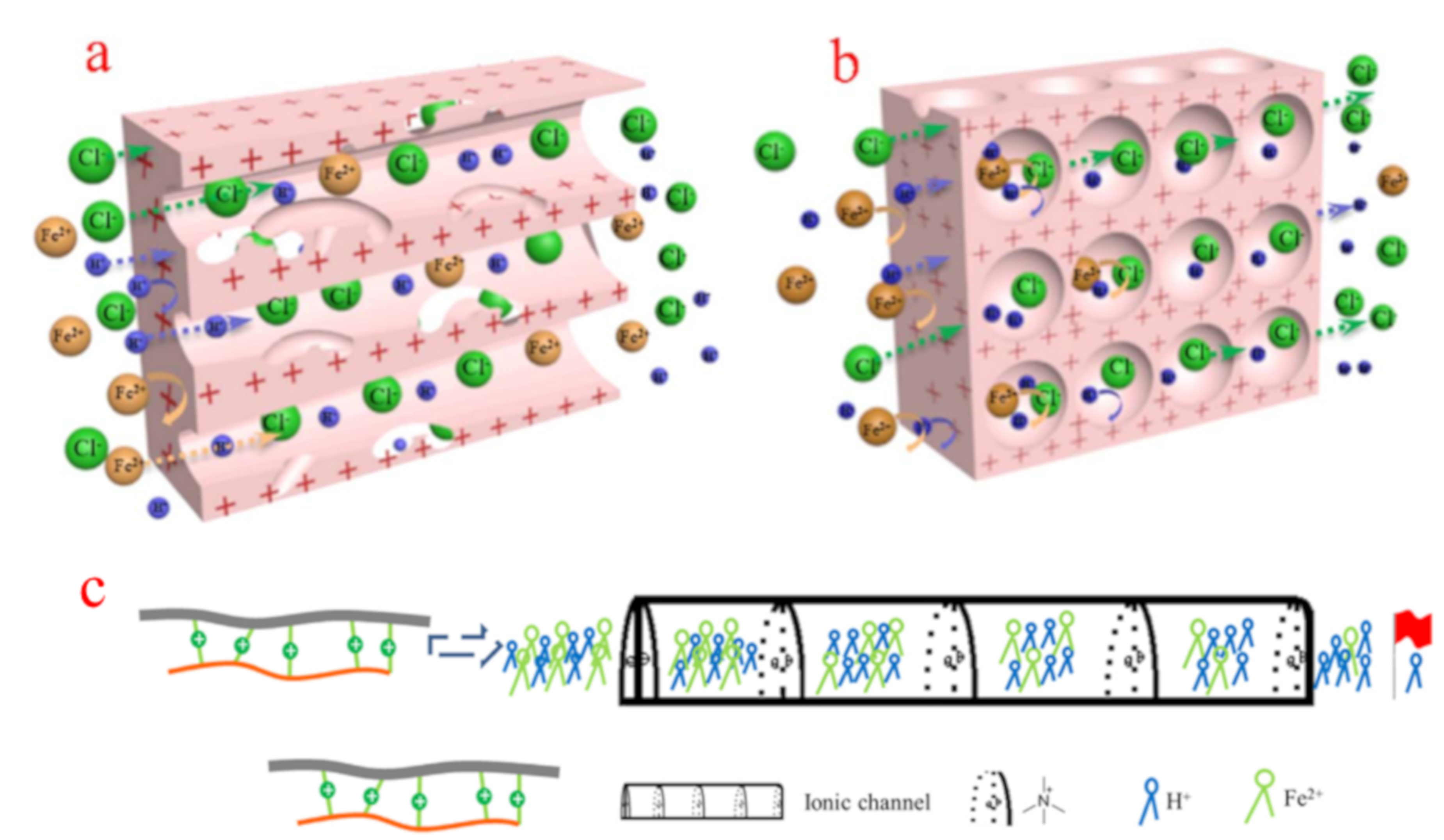 Membranes 10 00169 g006 Membranes 10 00169 g006