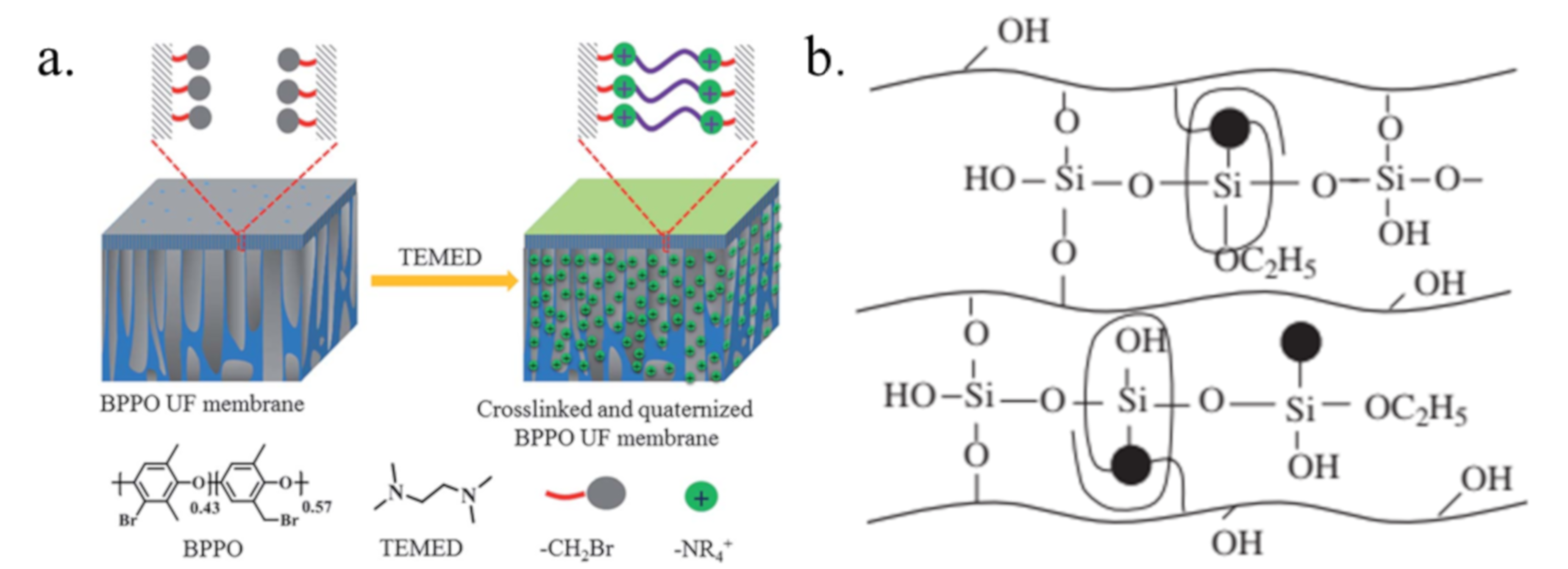 Membranes 10 00169 g008 Membranes 10 00169 g008