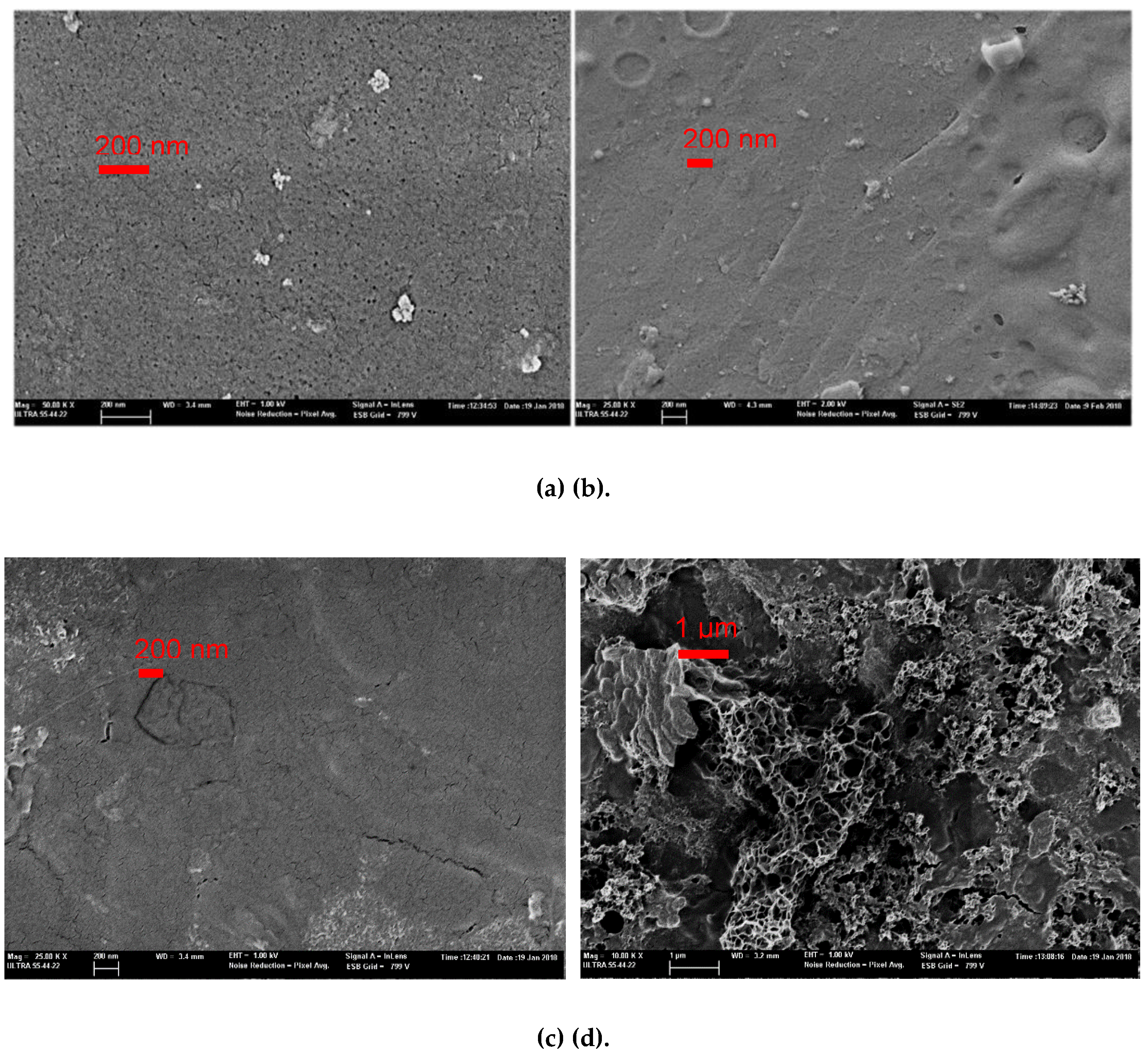 Membranes 10 00170 g008