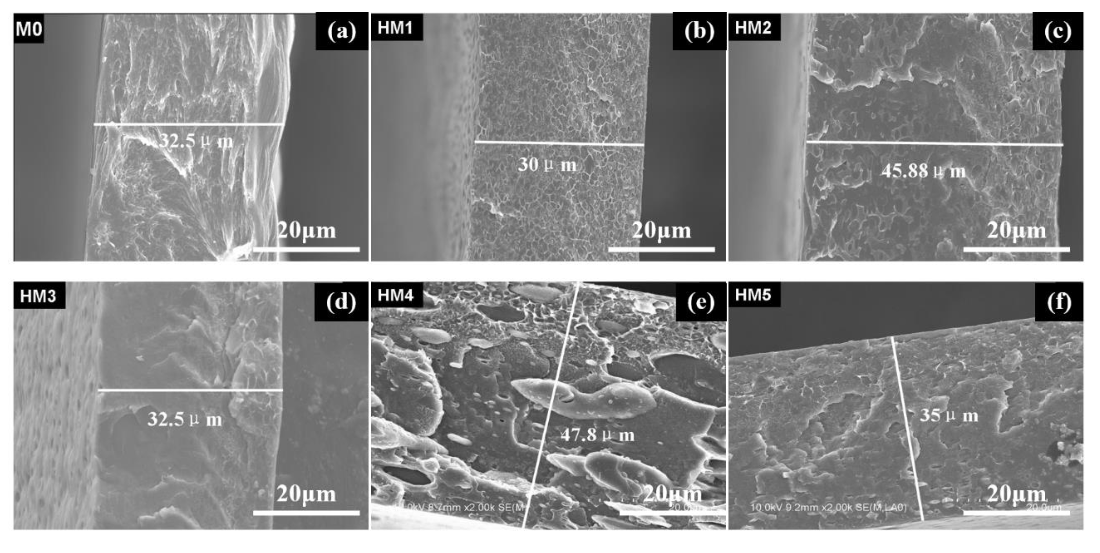 Membranes 10 00174 g004 Membranes 10 00174 g004
