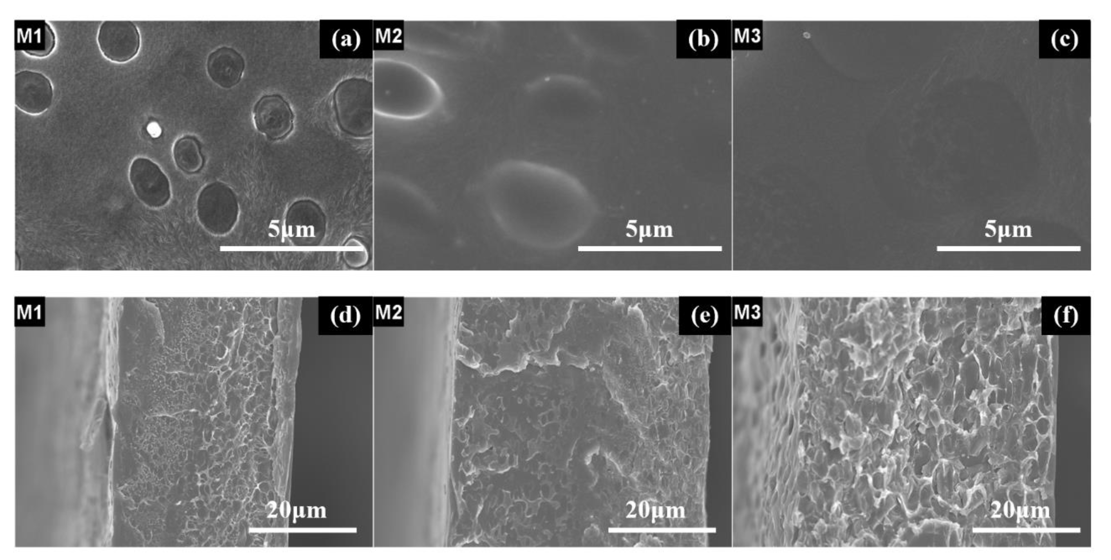 Membranes 10 00174 g005 Membranes 10 00174 g005