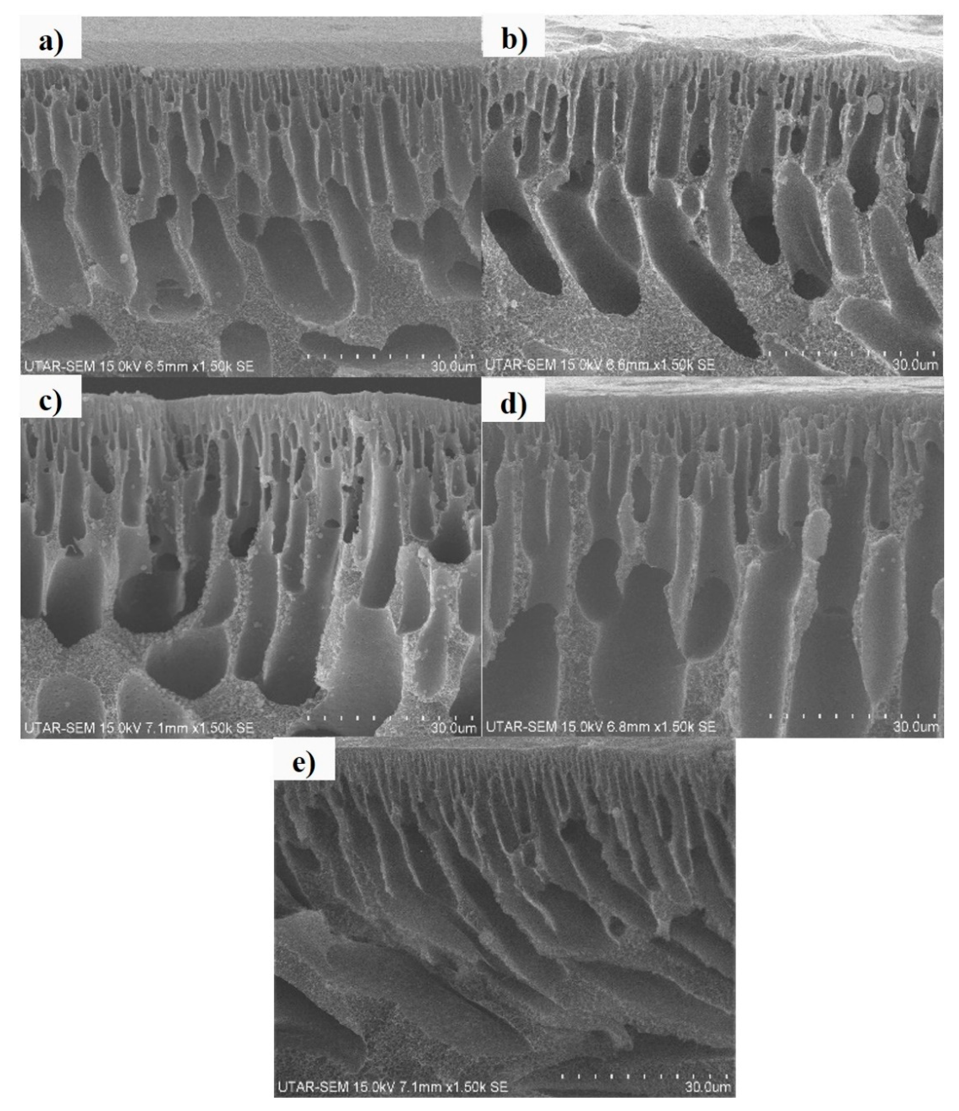 Membranes 10 00175 g005 Membranes 10 00175 g005