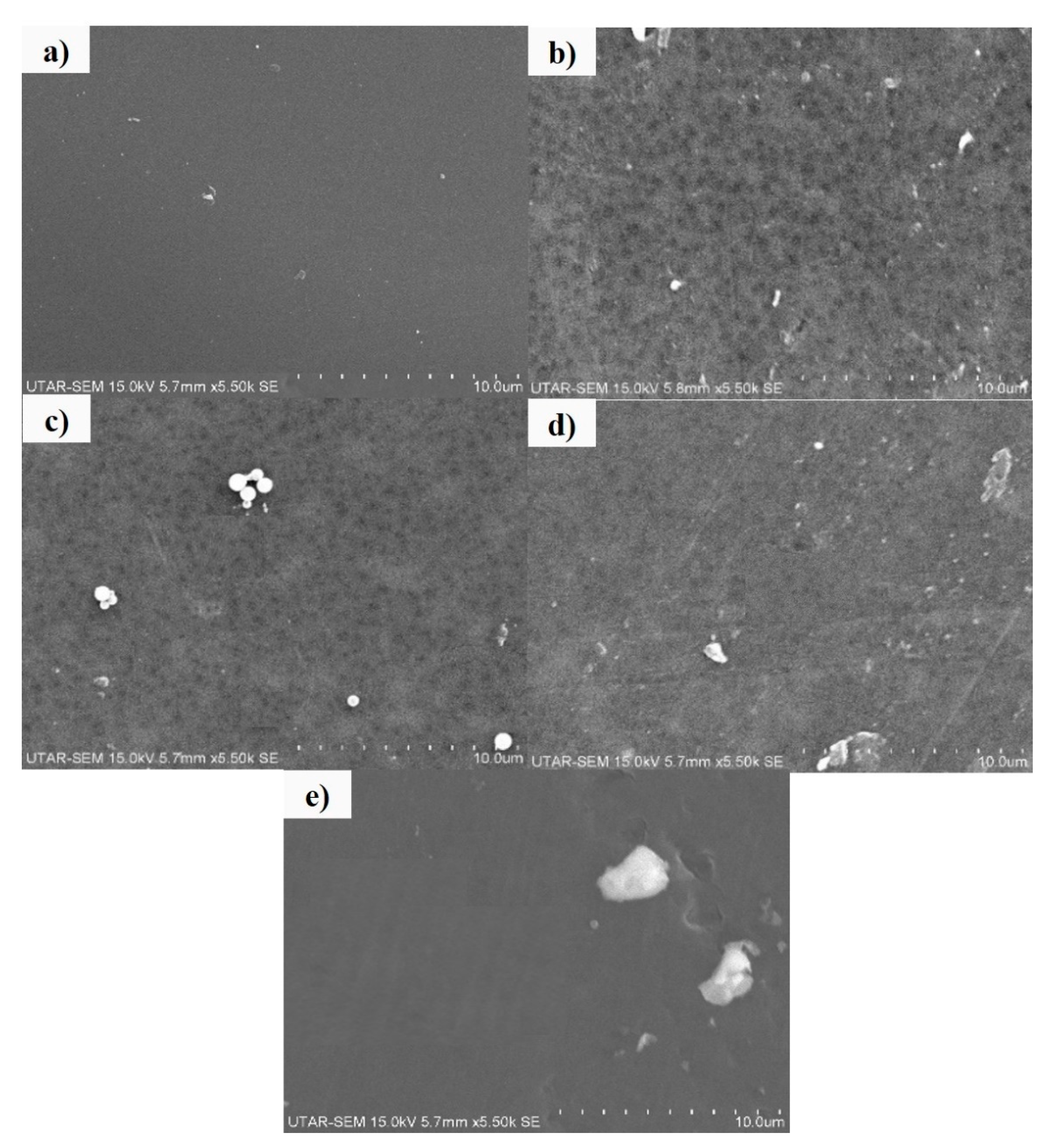 Membranes 10 00175 g006 Membranes 10 00175 g006