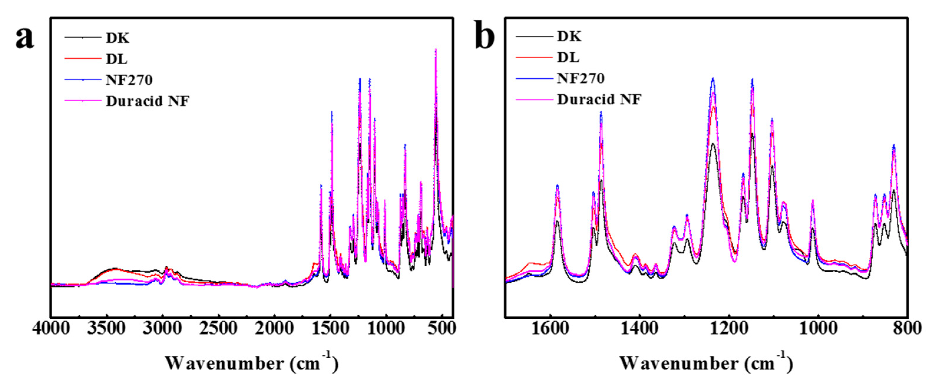 Membranes 10 00178 g002