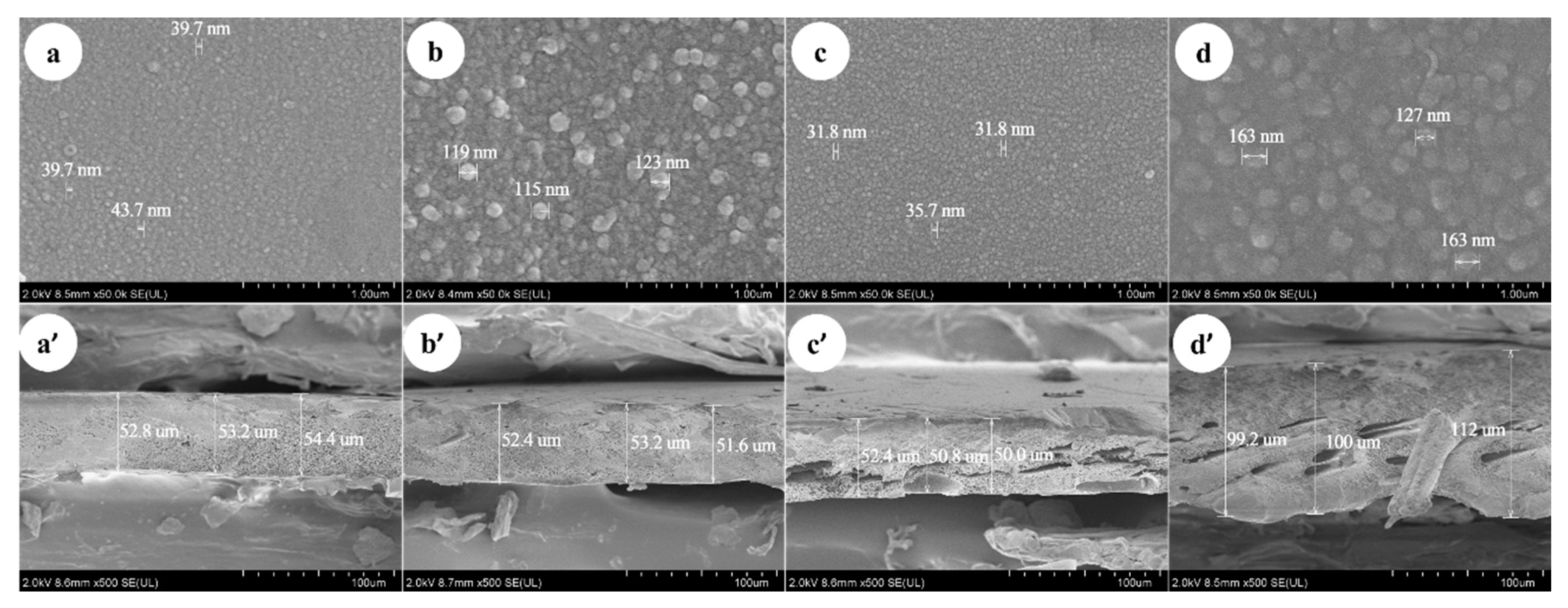 Membranes 10 00178 g005