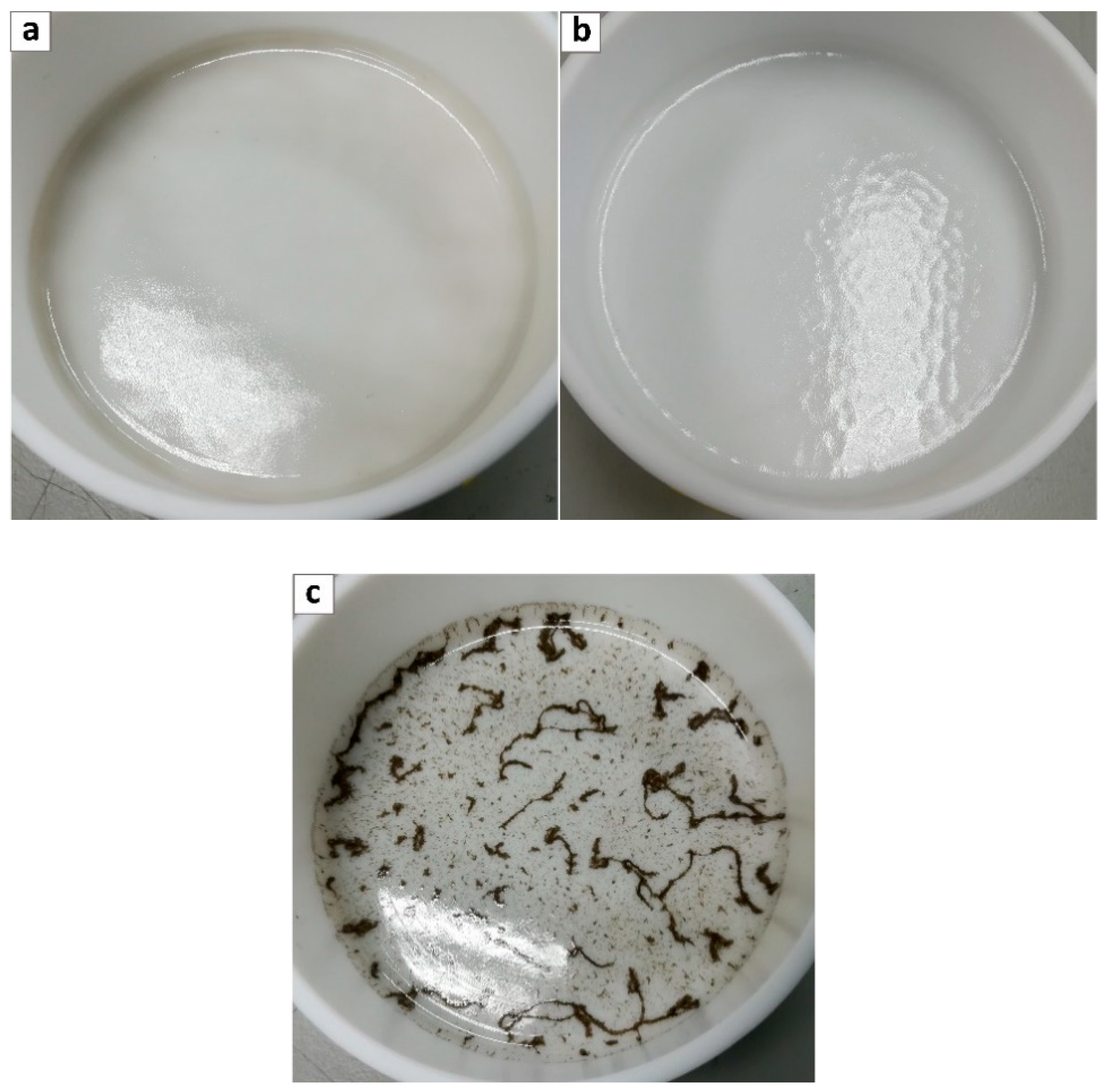 Membranes 10 00188 g004 Membranes 10 00188 g004