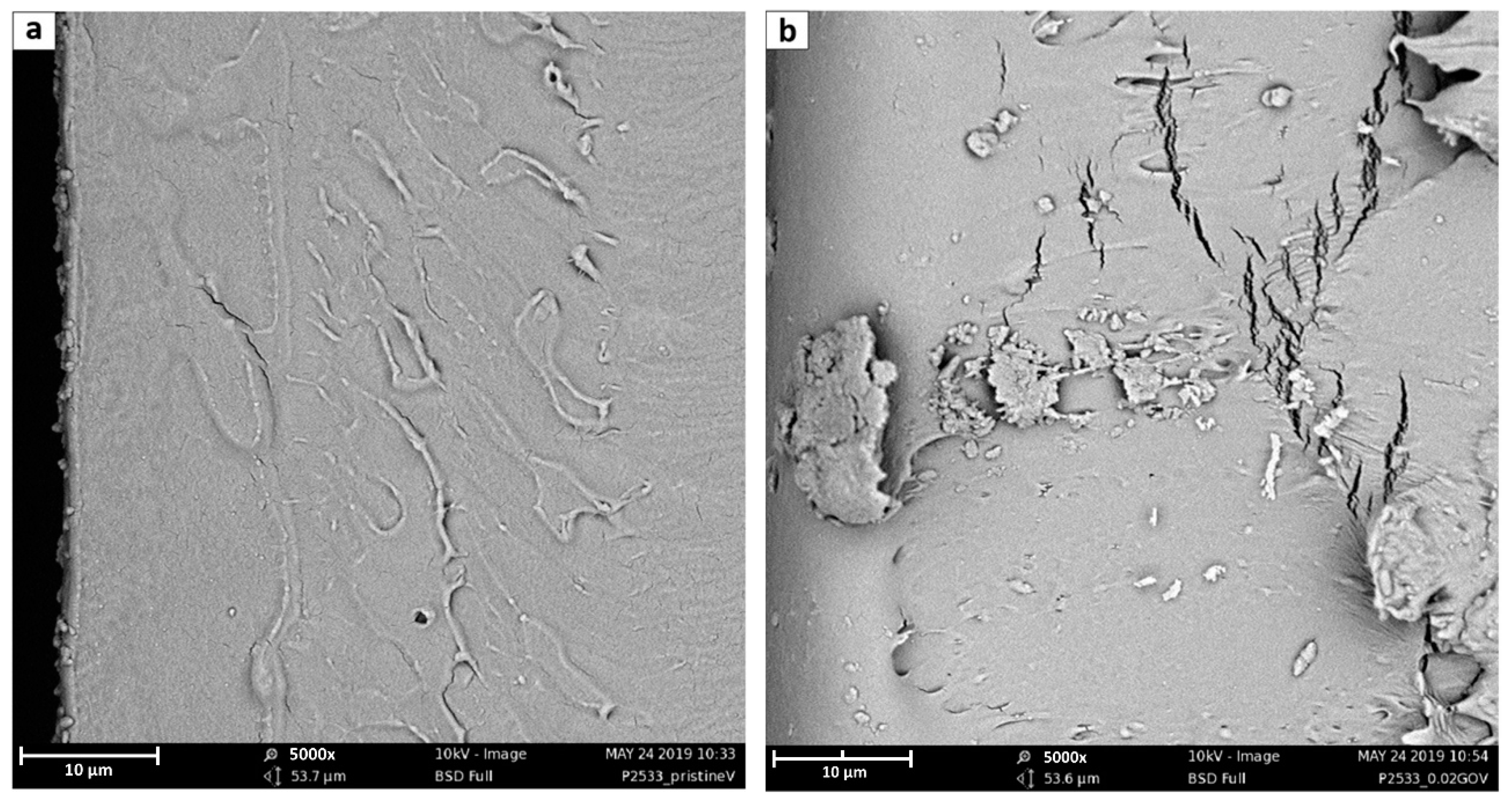 Membranes 10 00188 g007a Membranes 10 00188 g007a