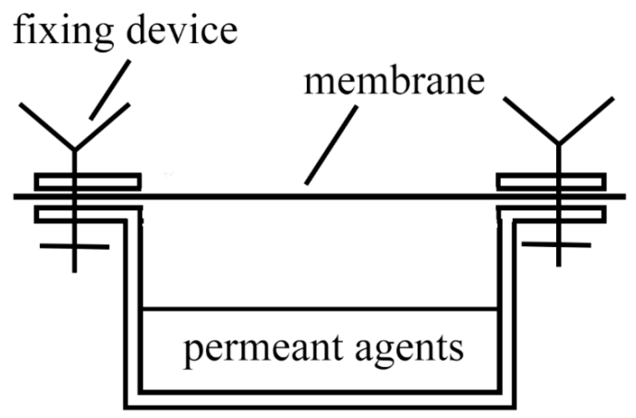 Membranes 10 00190 g002