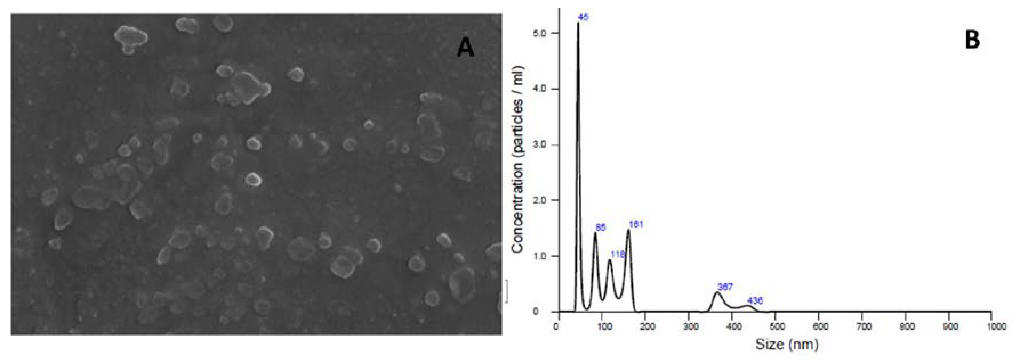 Membranes 10 00194 g005