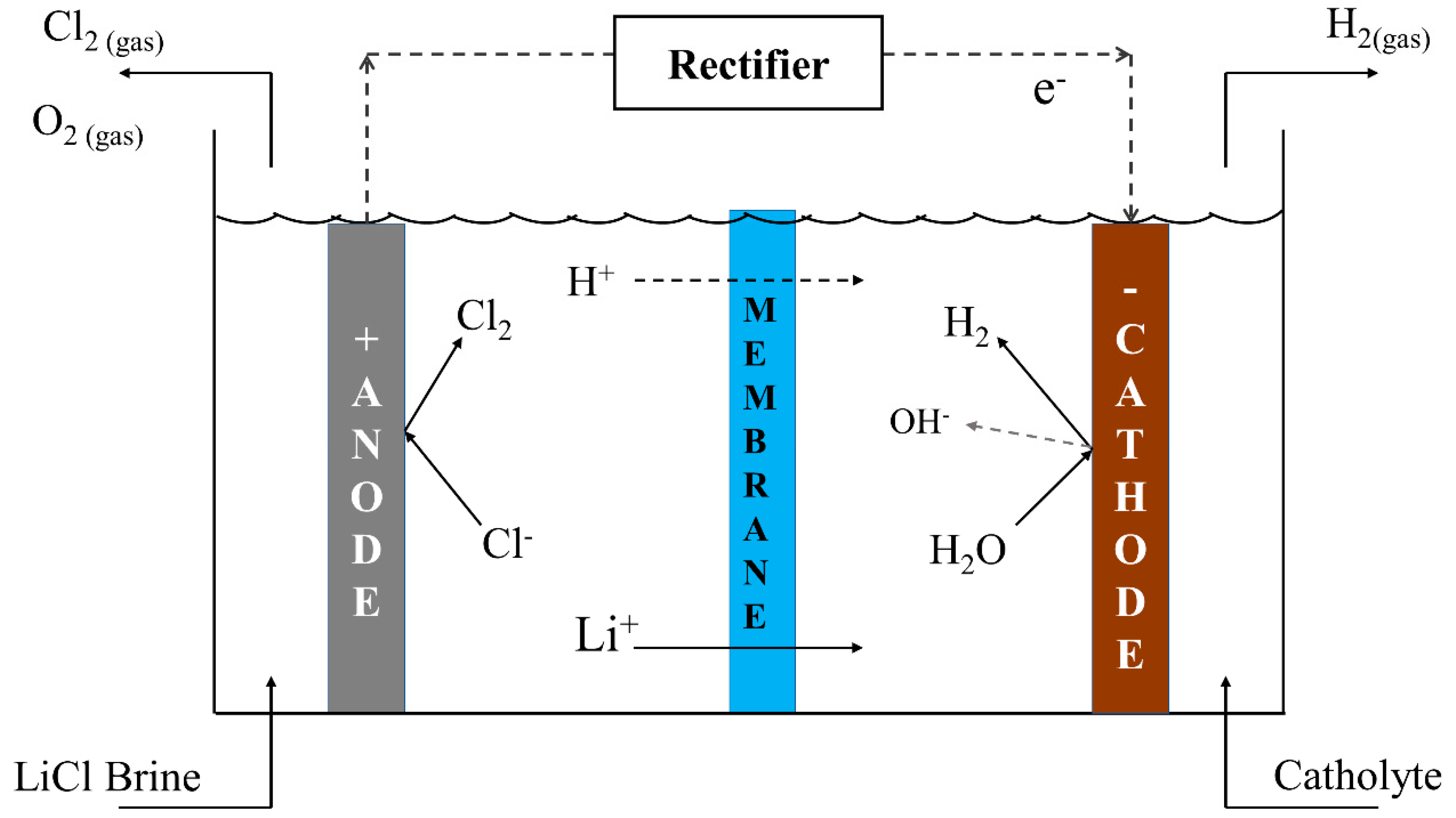 Membranes 10 00198 g001