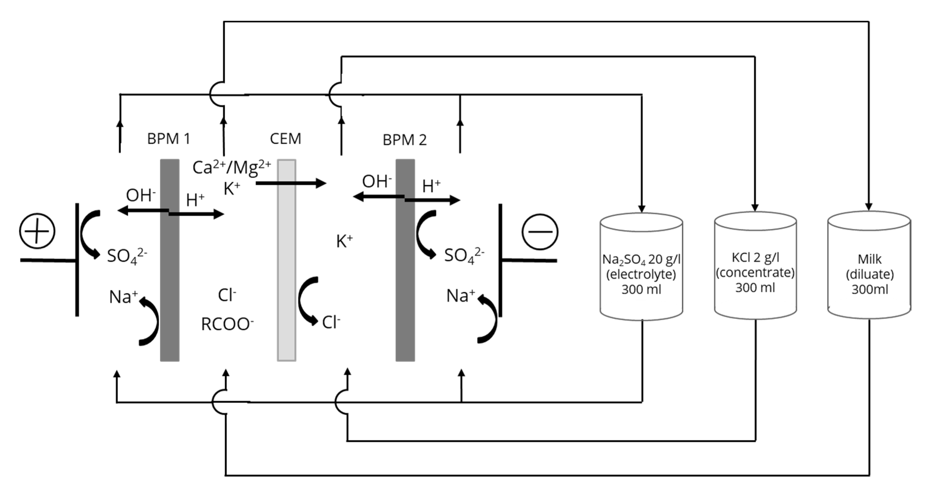 Membranes 10 00200 g001 Membranes 10 00200 g001