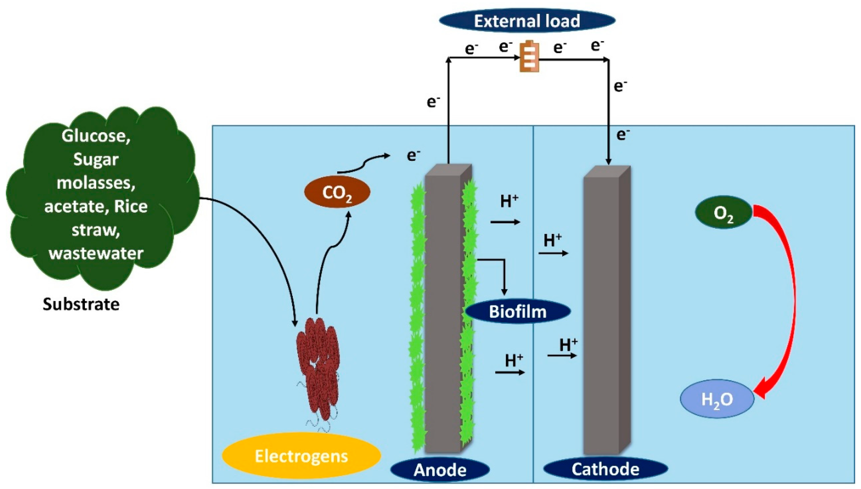 Membranes Free FullText Insights into Advancements and Electrons