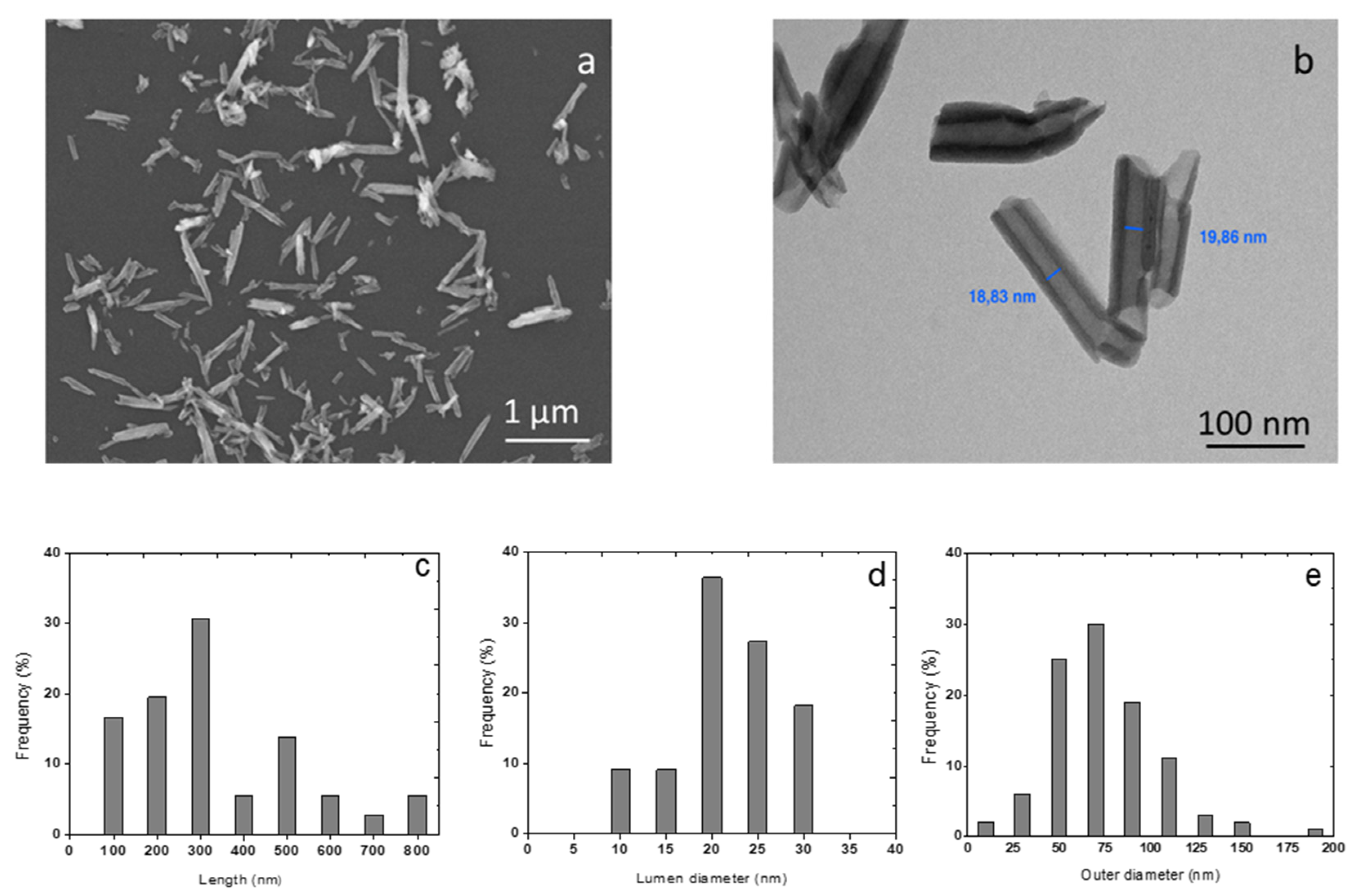 Membranes 10 00208 g001 Membranes 10 00208 g001
