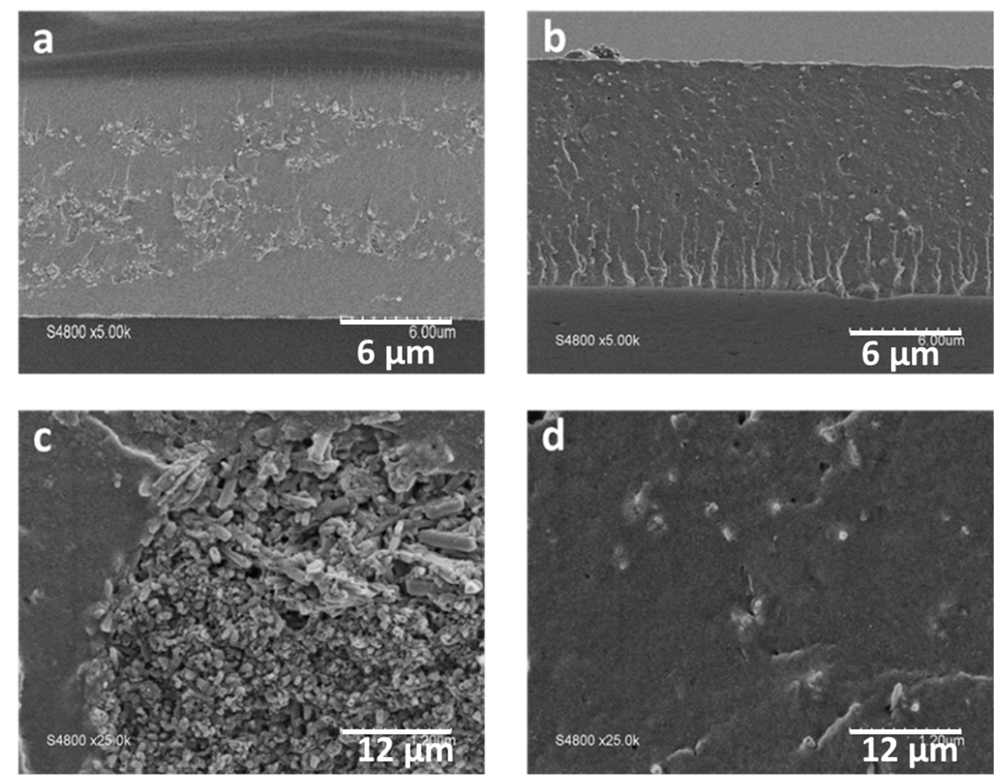 Membranes 10 00208 g005 Membranes 10 00208 g005