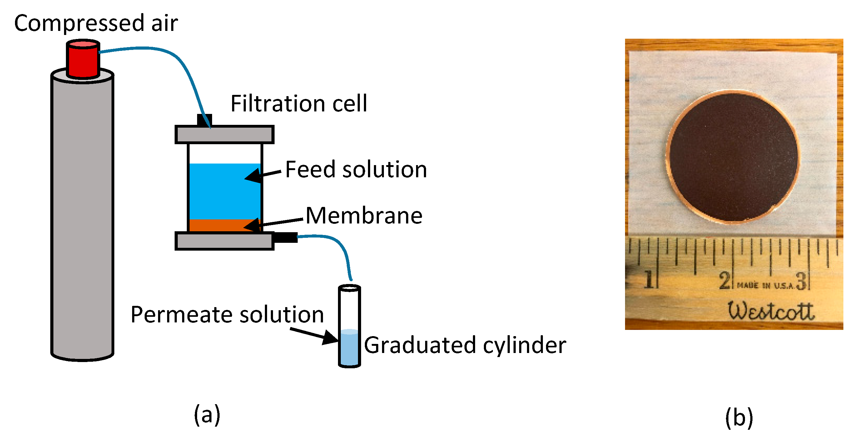 Membranes 10 00210 g001