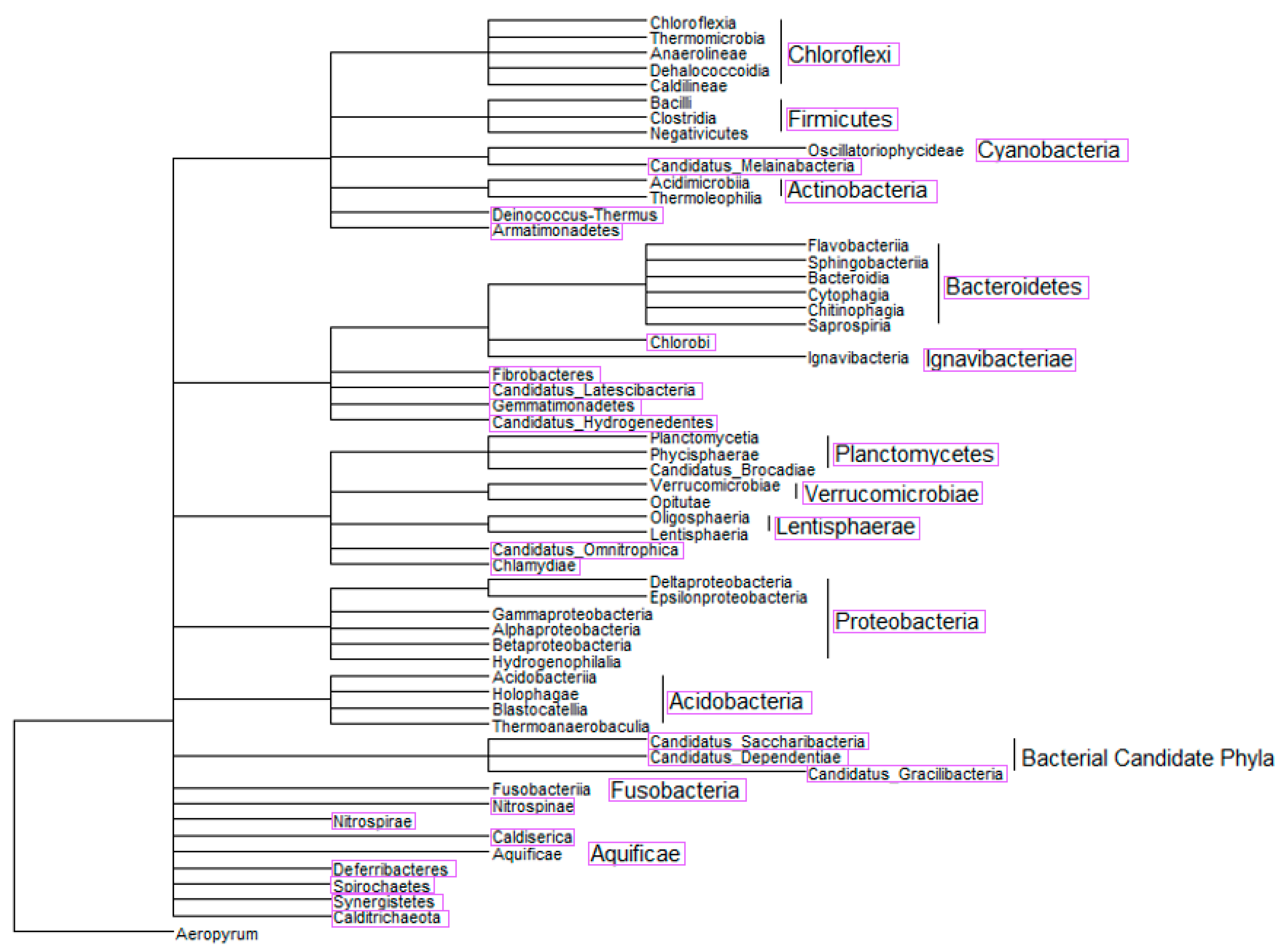 Membranes 10 00211 g004 Membranes 10 00211 g004
