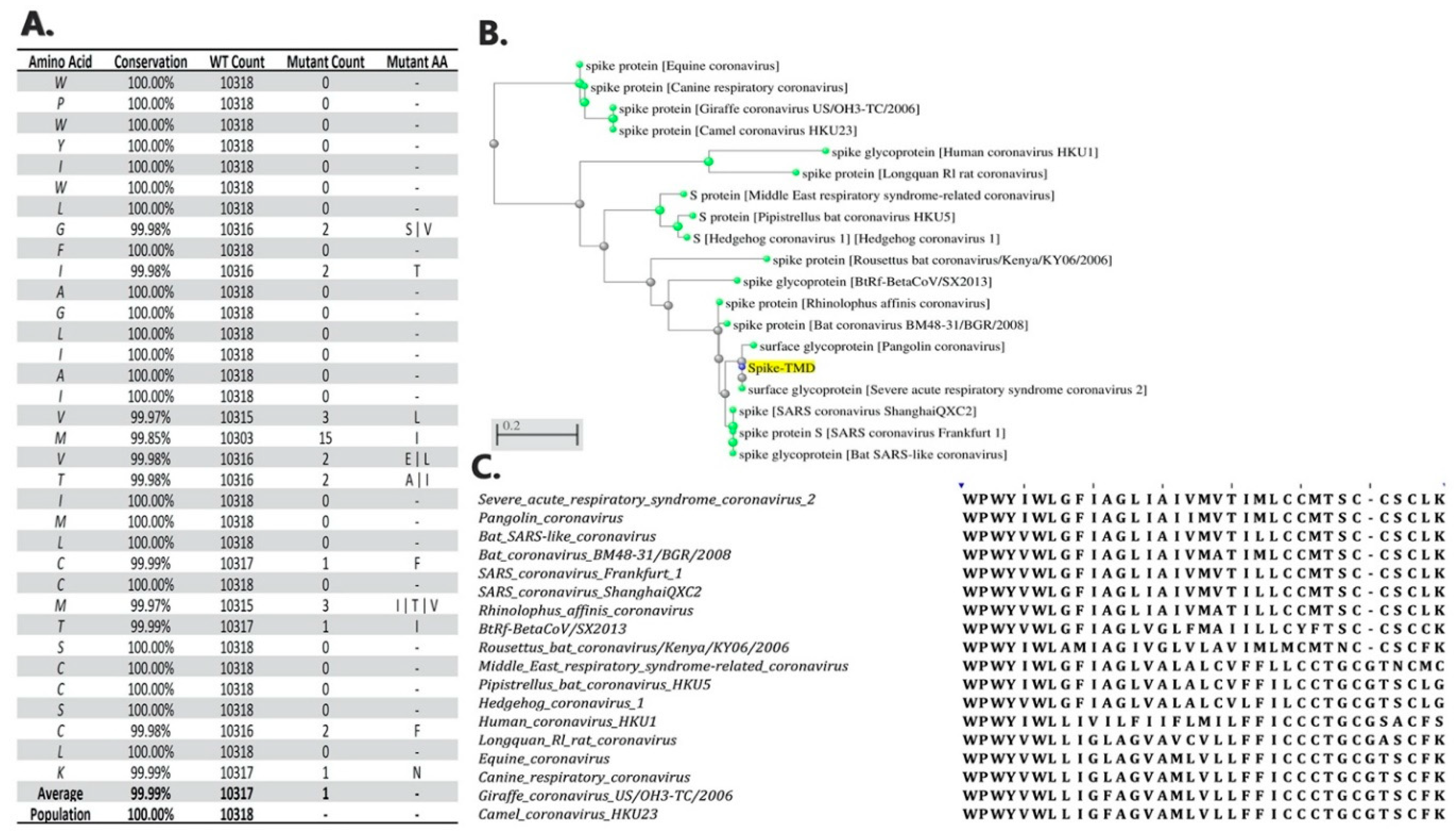 Membranes 10 00215 g001 Membranes 10 00215 g001