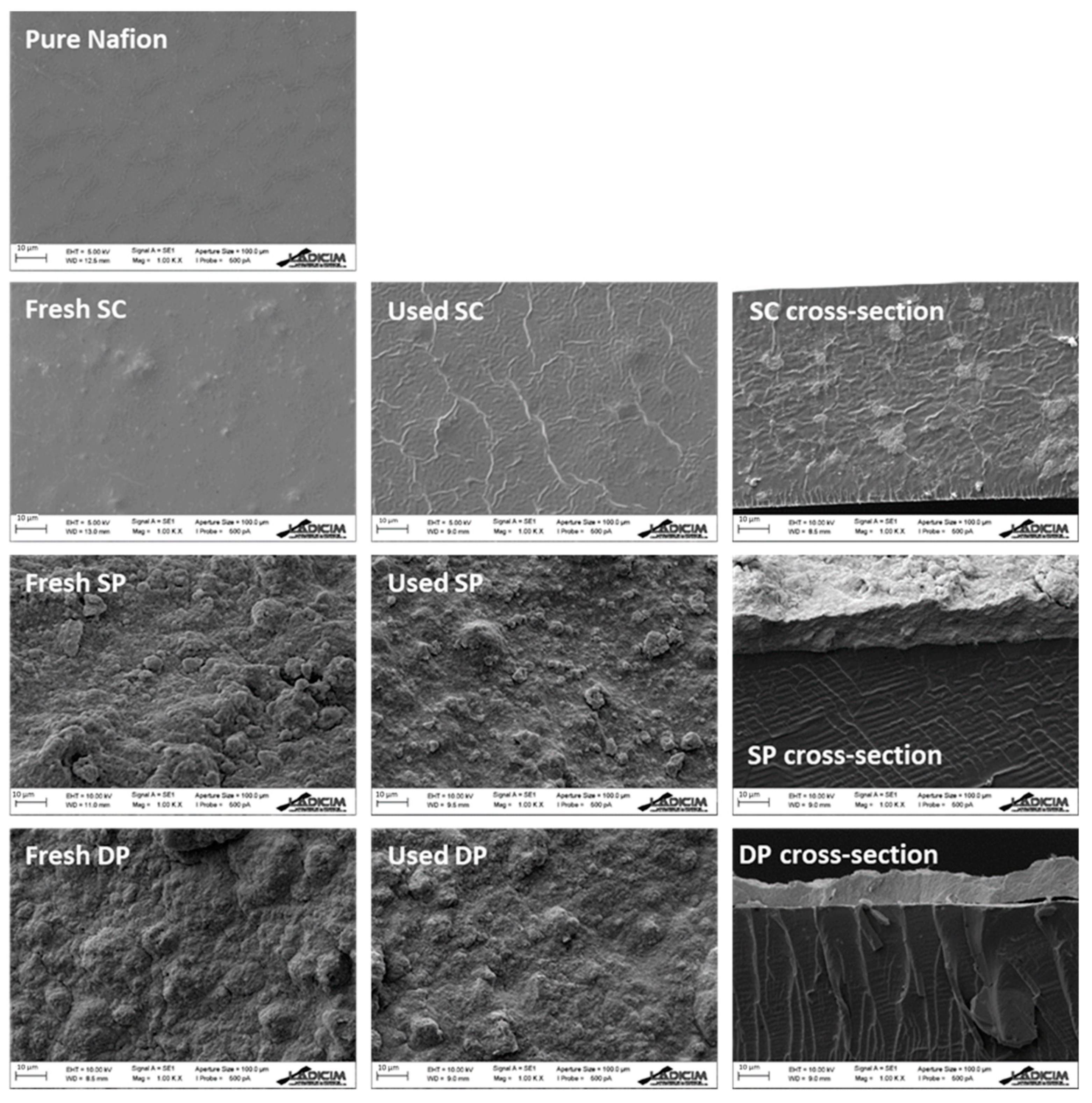 Membranes 10 00218 g004 Membranes 10 00218 g004
