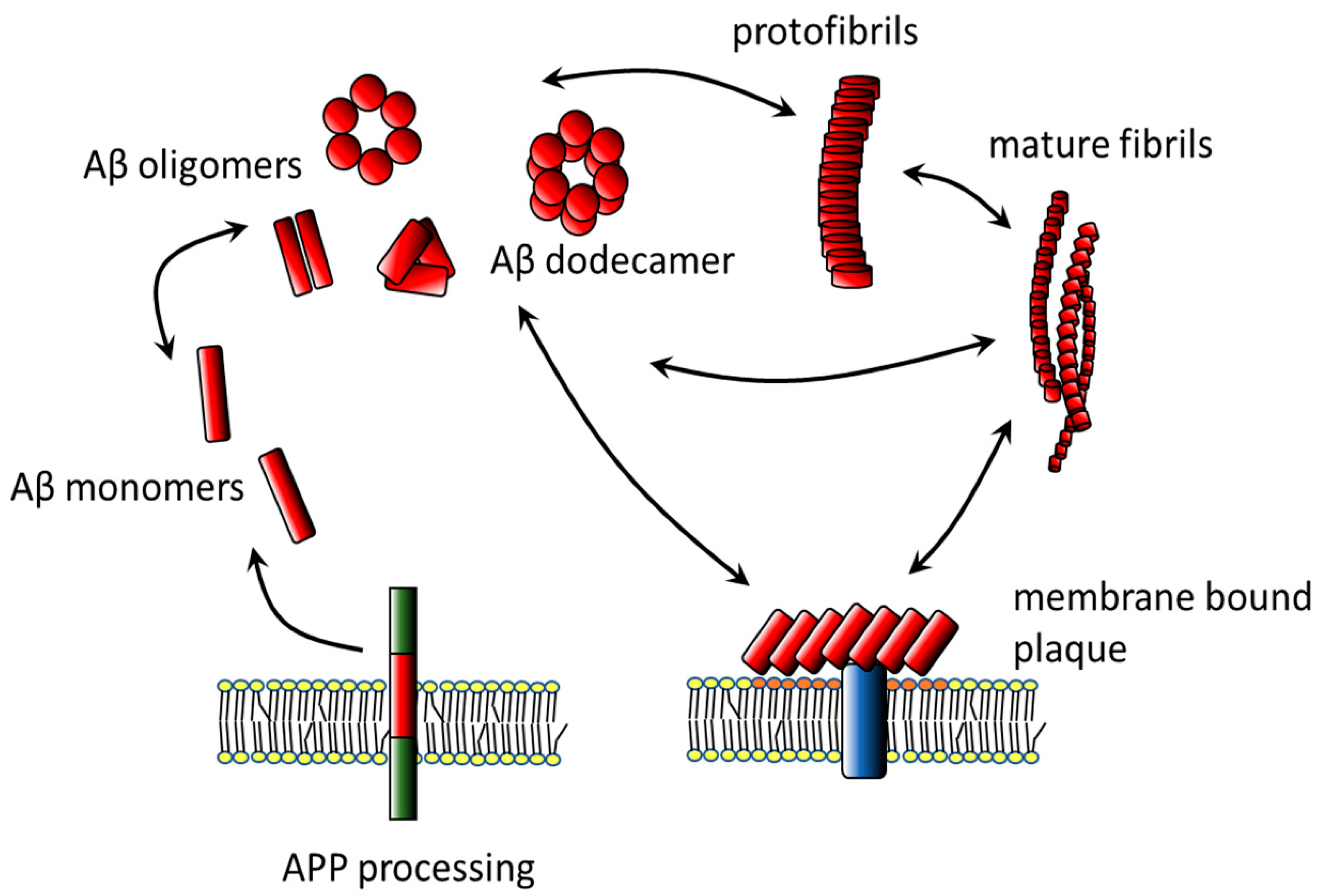 Membranes Free FullText The Role of Lipid Environment in