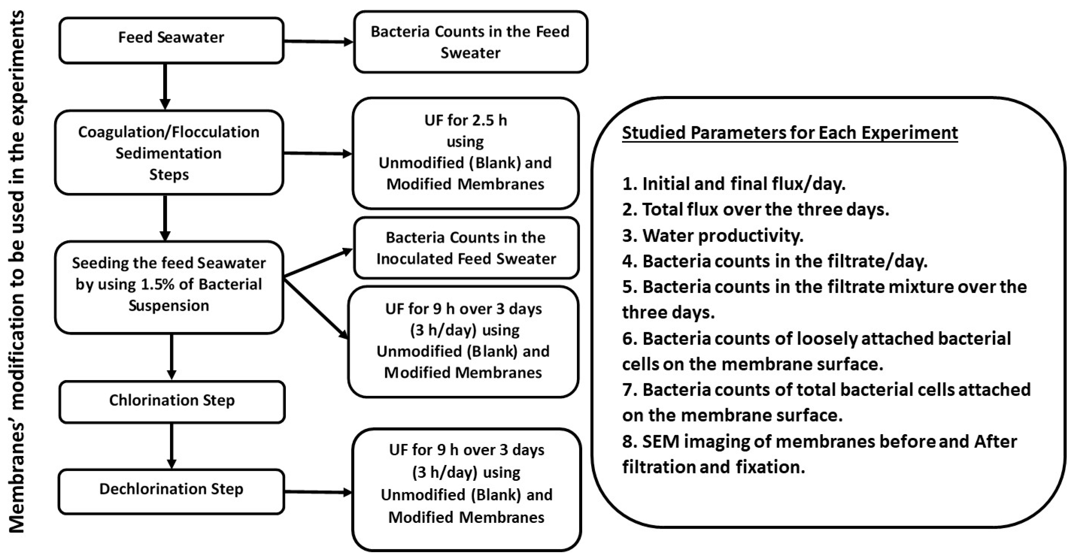 Membranes 10 00227 g001