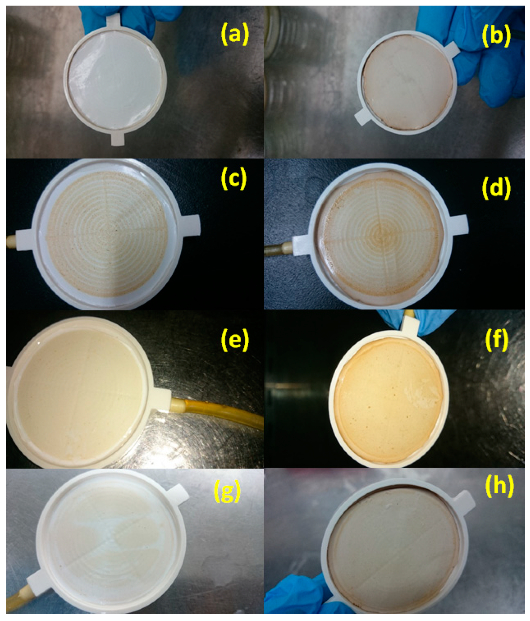 Membranes 10 00227 g003