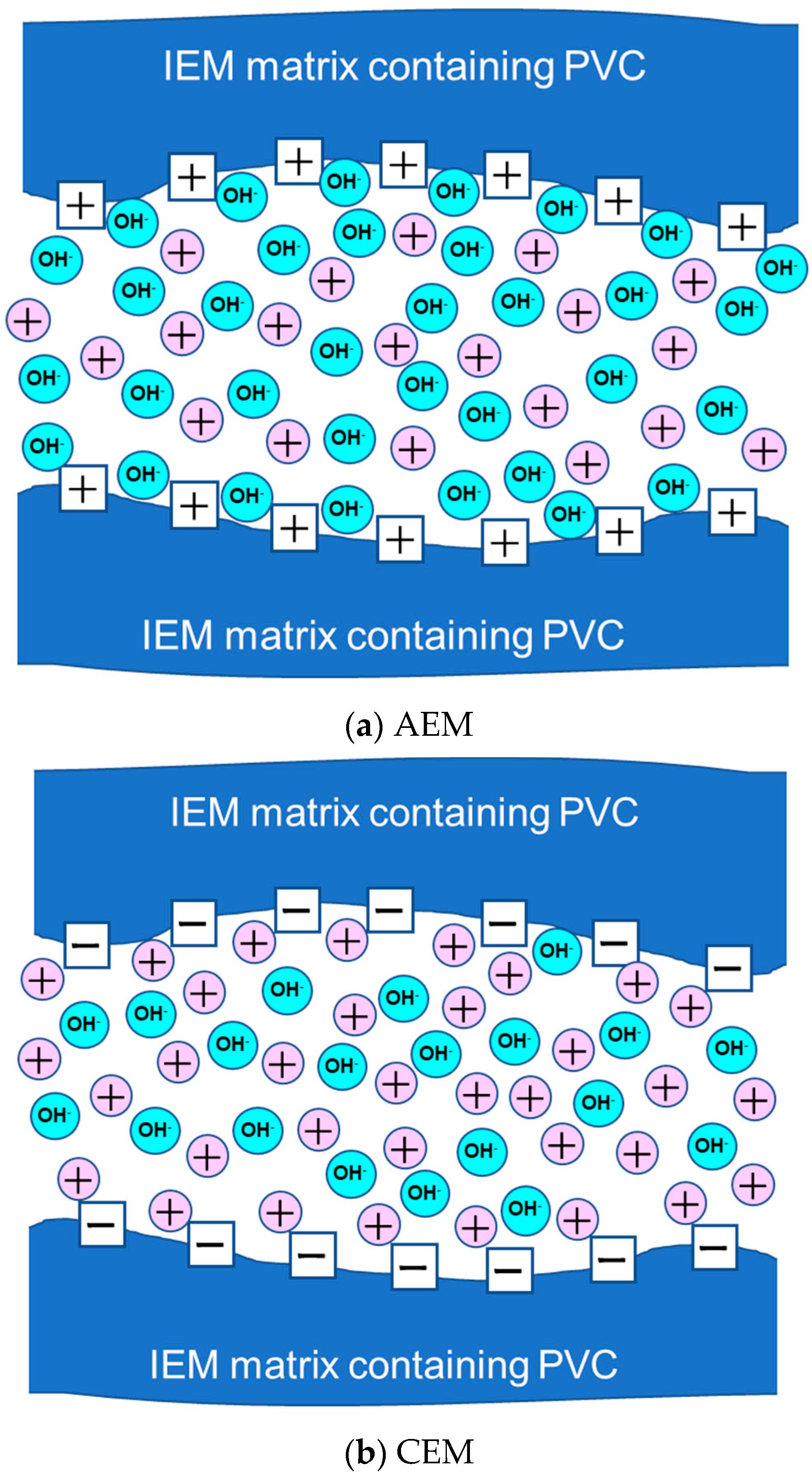 Membranes 10 00228 g012 Membranes 10 00228 g012