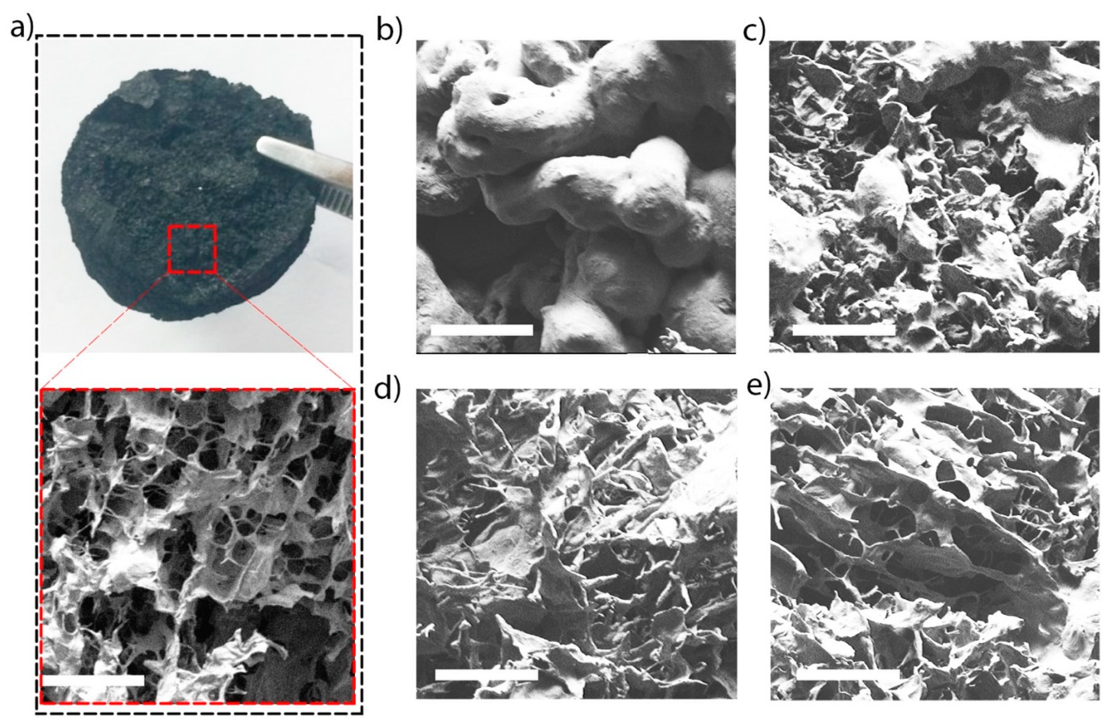 Membranes 10 00229 g003 Membranes 10 00229 g003