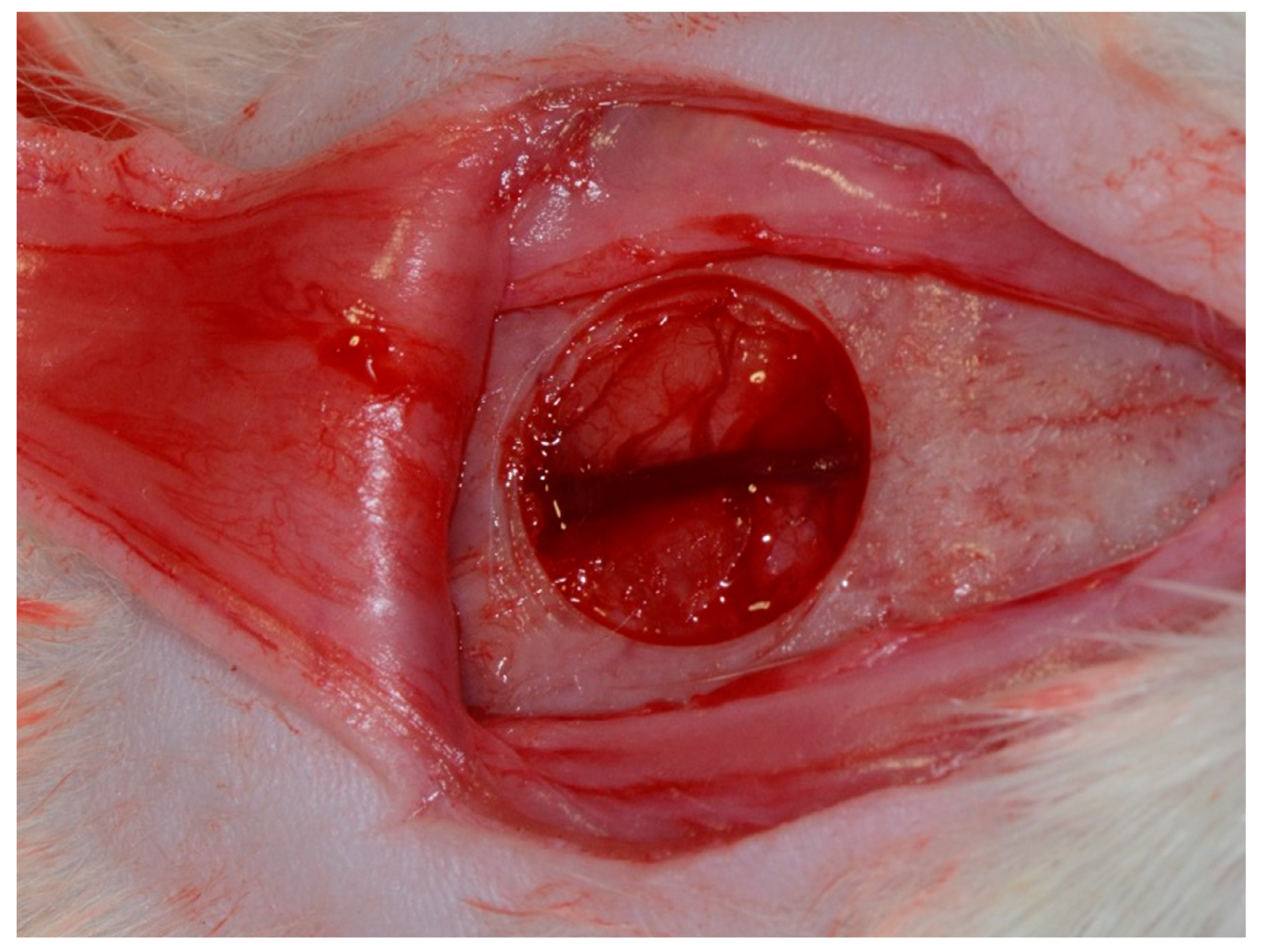 Membranes 10 00230 g002 Membranes 10 00230 g002