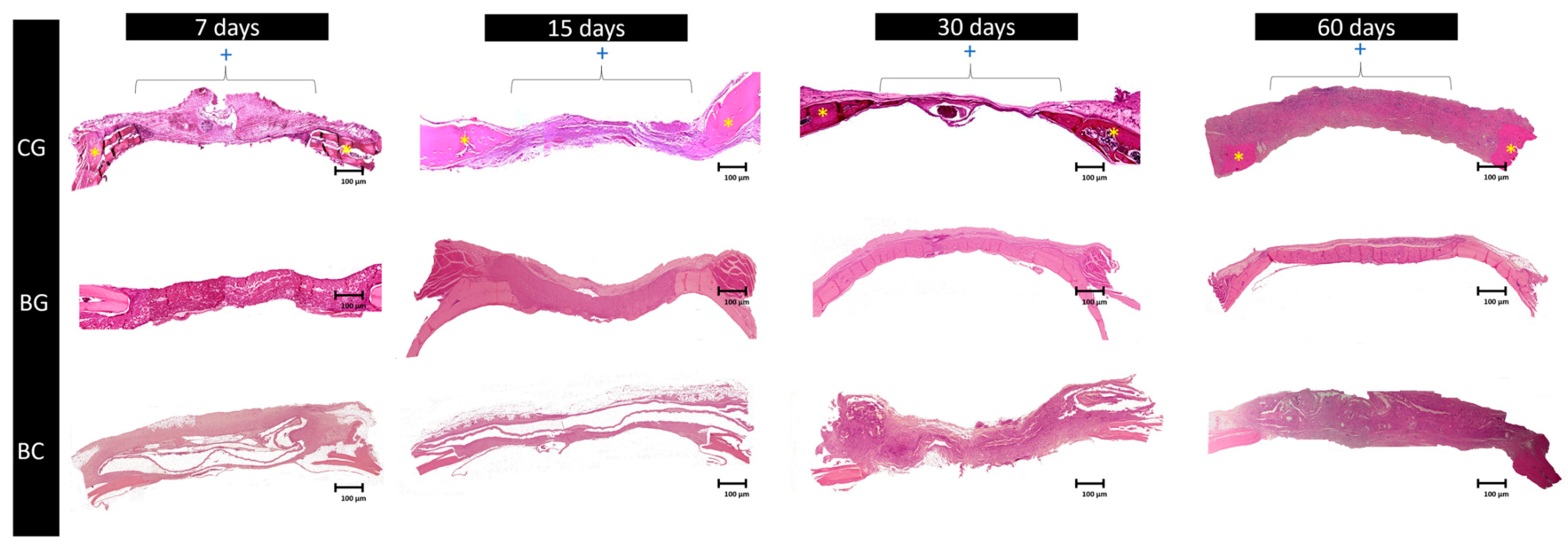 Membranes 10 00230 g003 Membranes 10 00230 g003