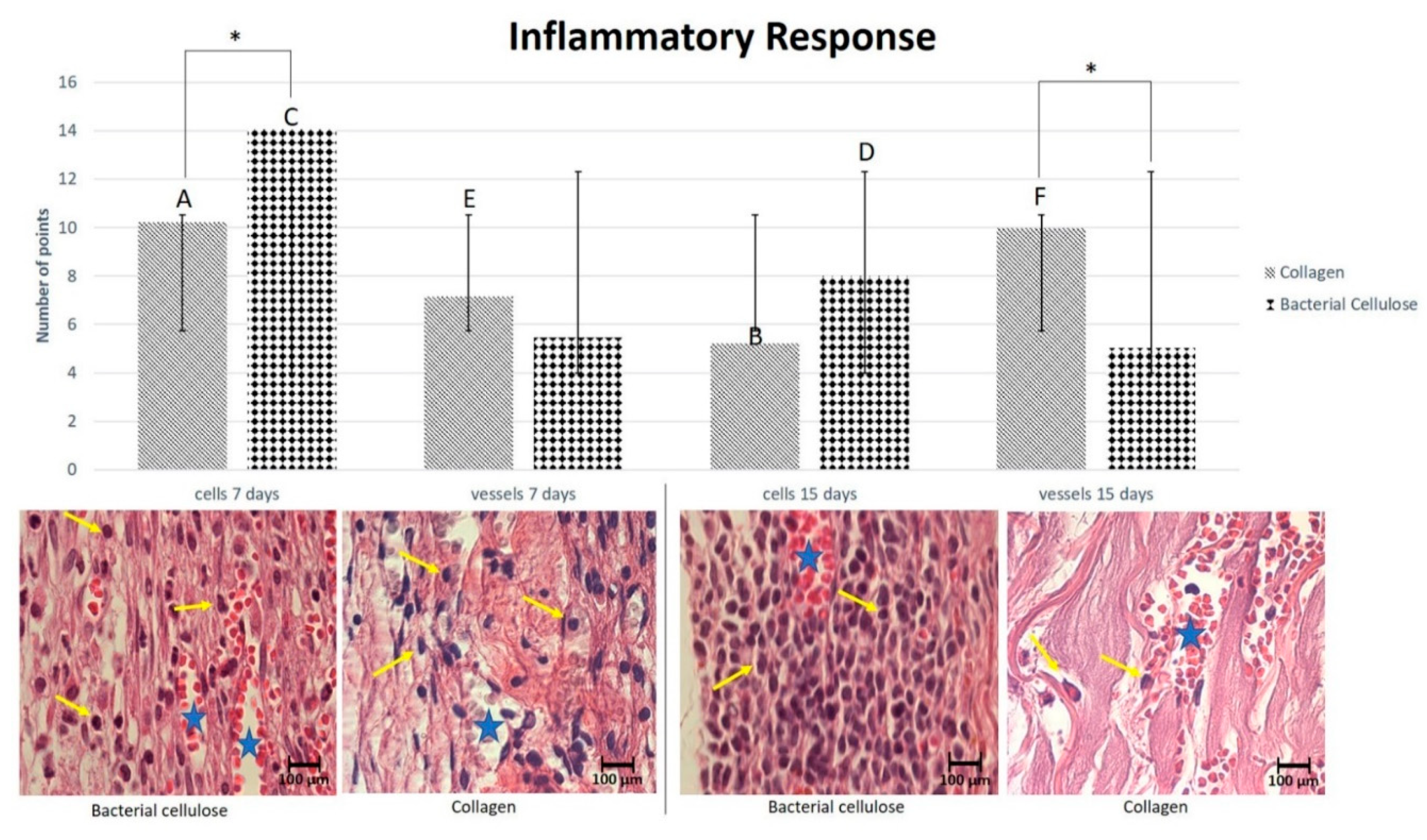 Membranes 10 00230 g005 Membranes 10 00230 g005