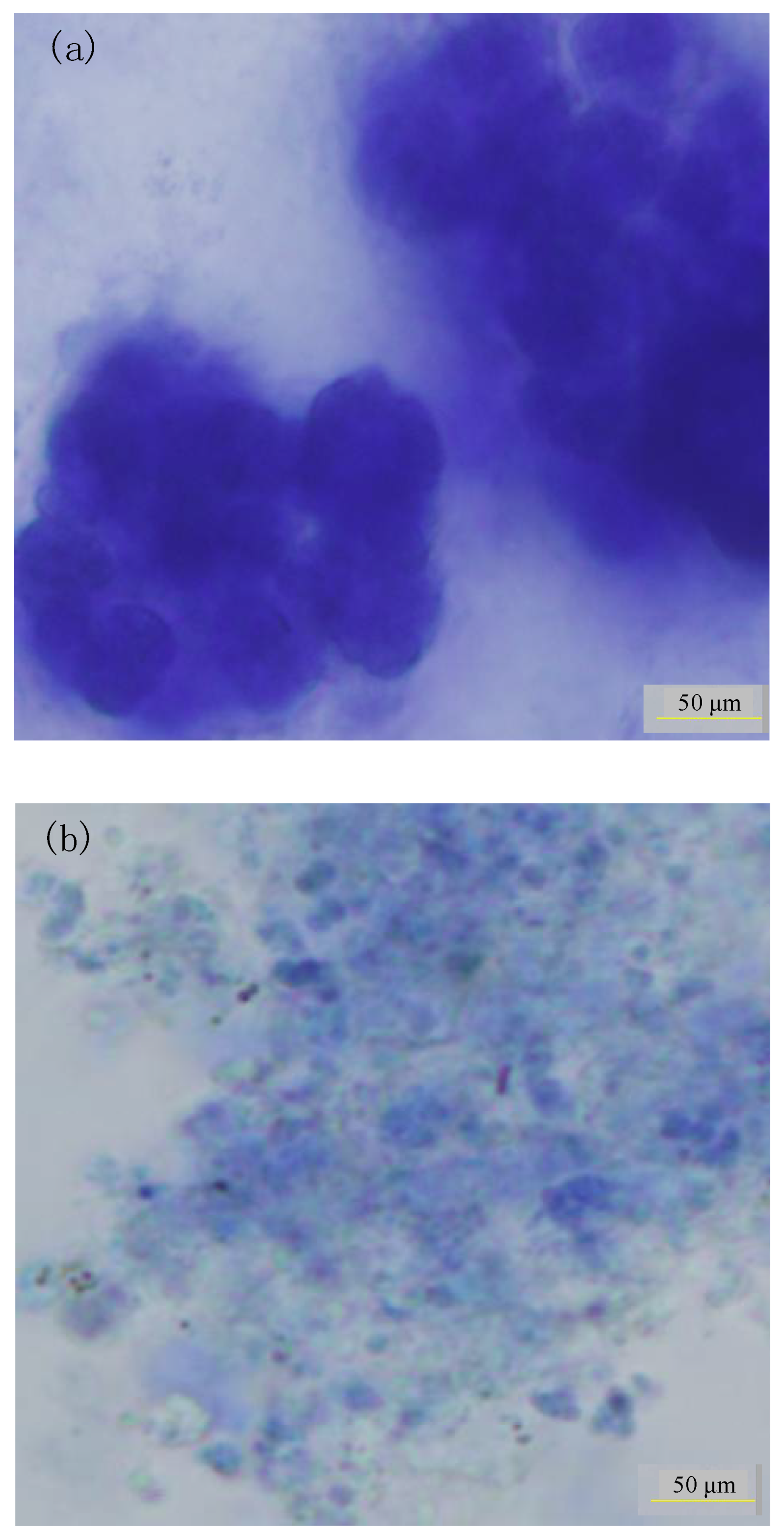 Membranes 10 00231 g006